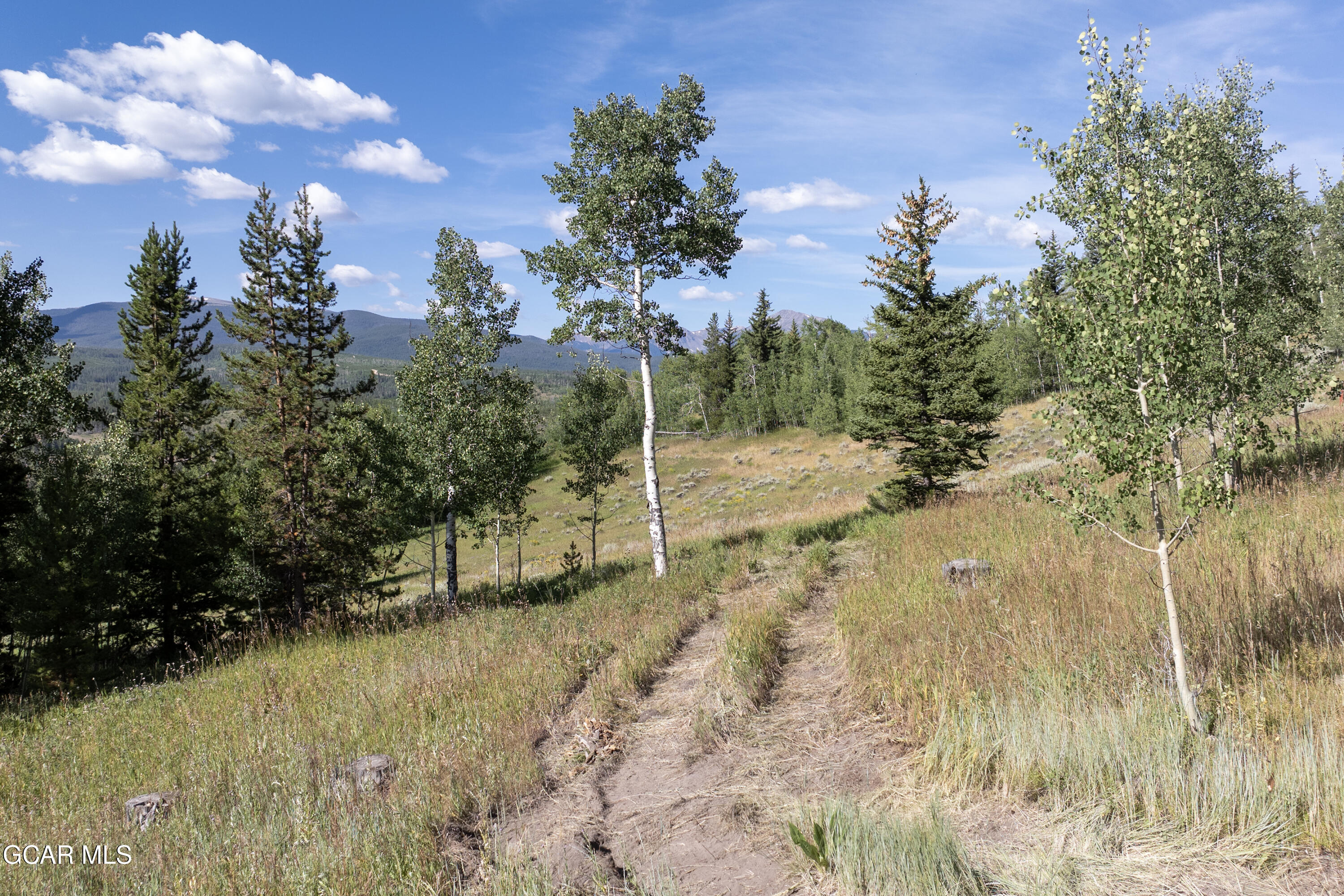 1996 Pioneer Trail Fraser CO 80442