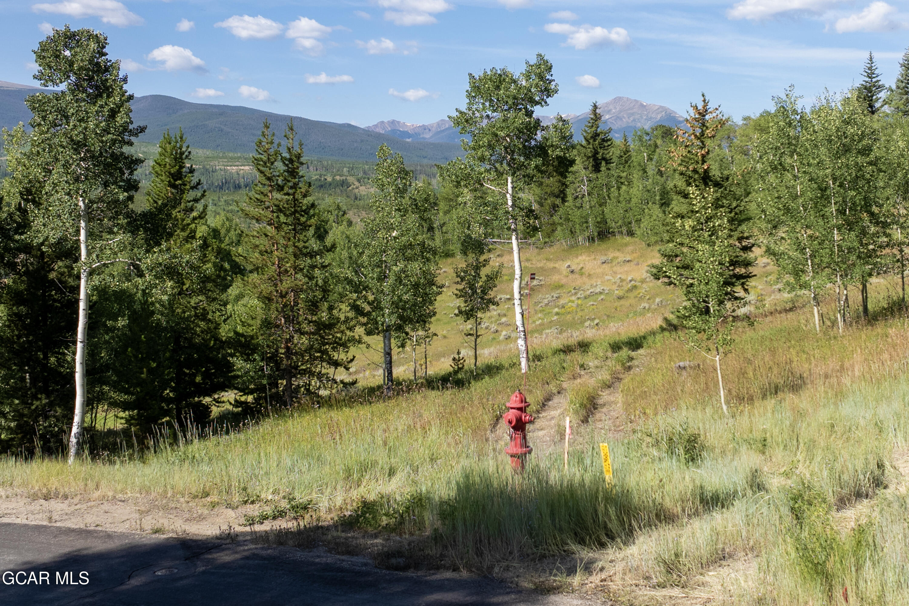 1996 Pioneer Trail Fraser CO 80442