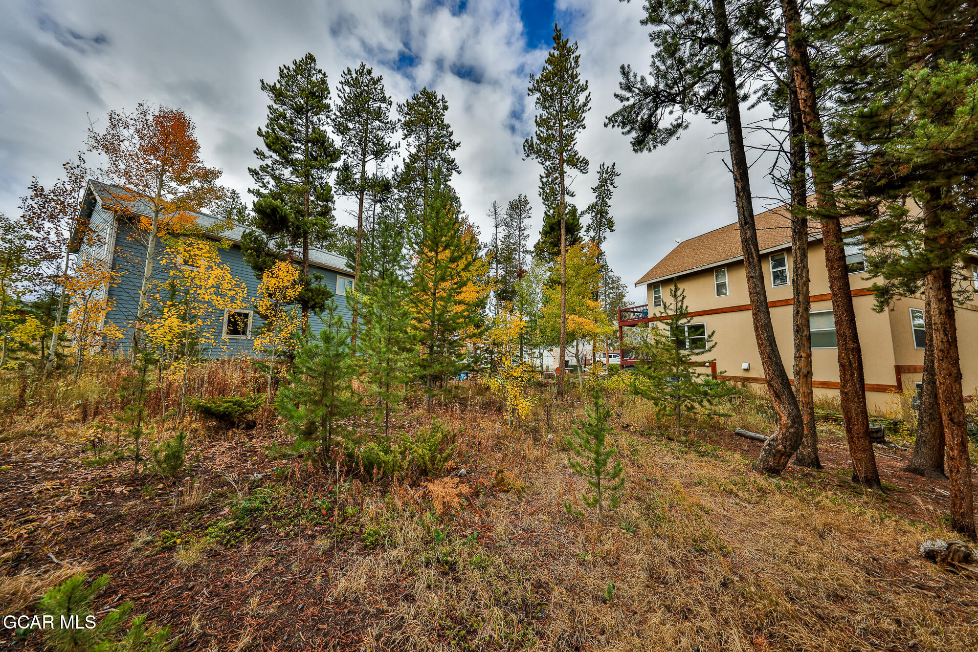 870 Ferret Lane Fraser CO 80442