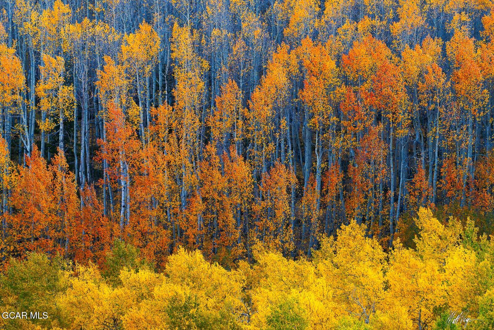 870 Ferret Lane Fraser CO 80442