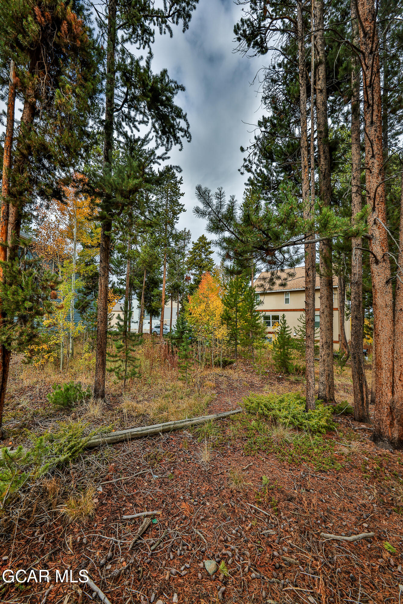 870 Ferret Lane Fraser CO 80442