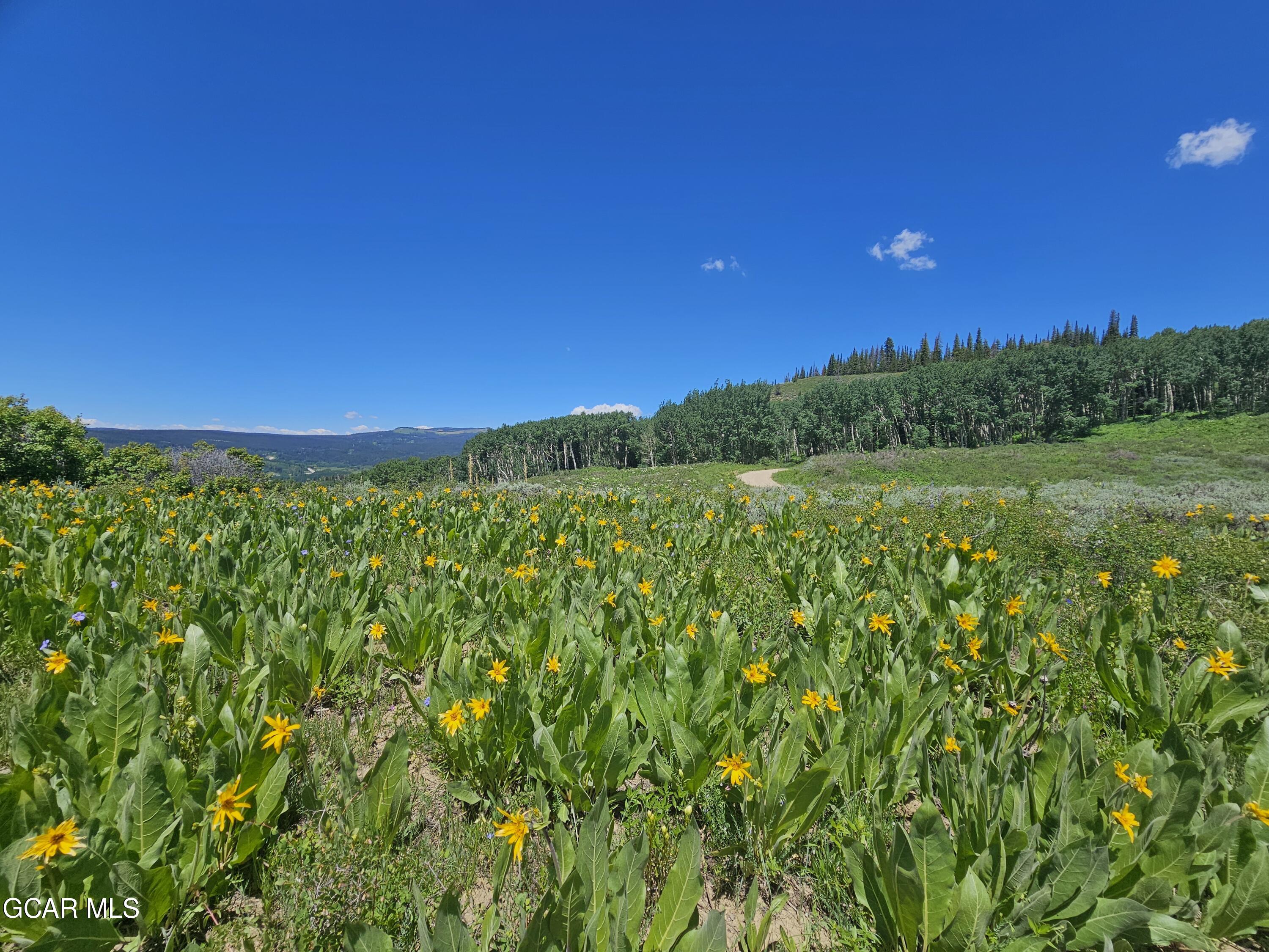 520 GCR 284 Kremmling CO 80459