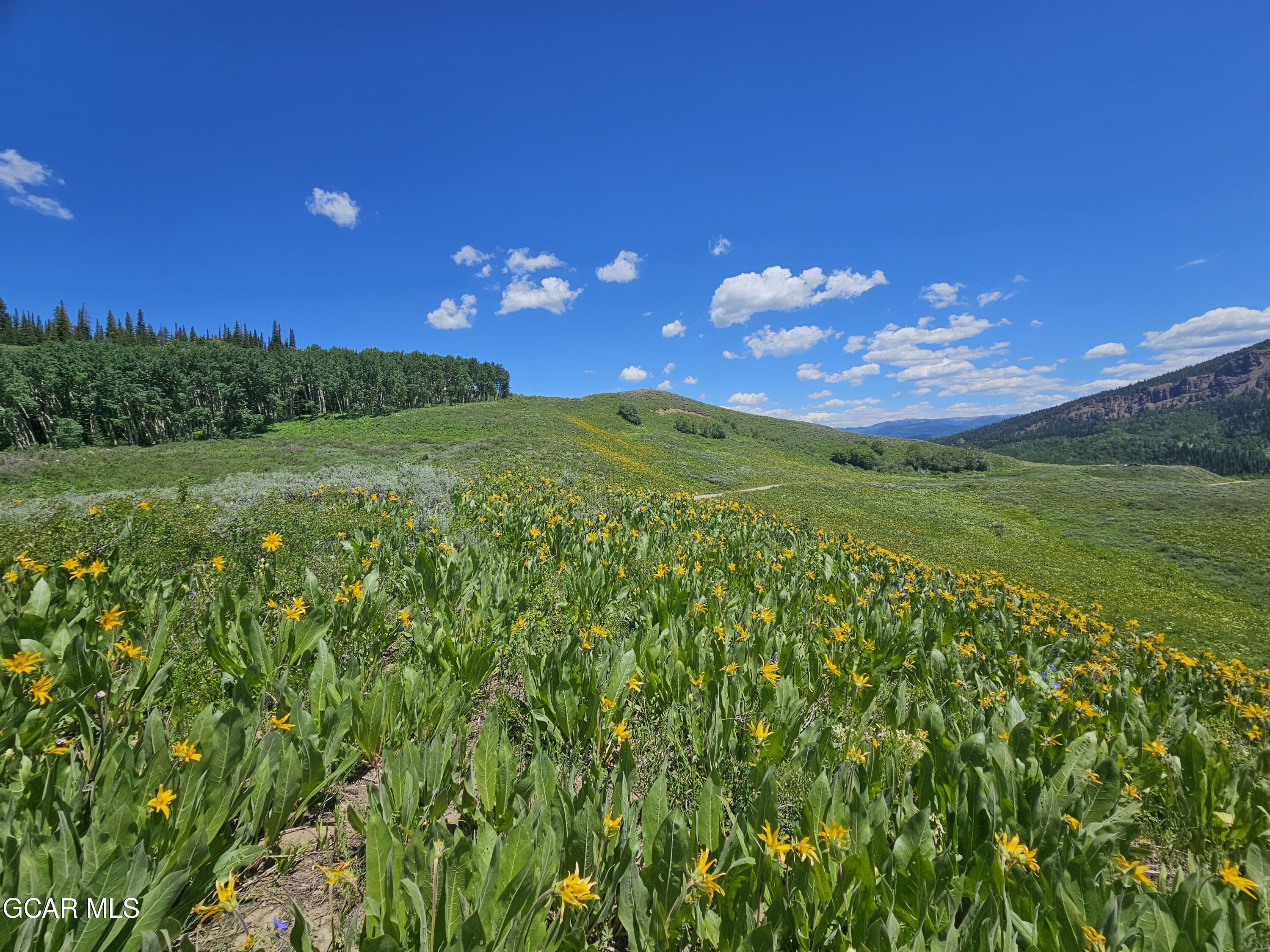 520 GCR 284 Kremmling CO 80459