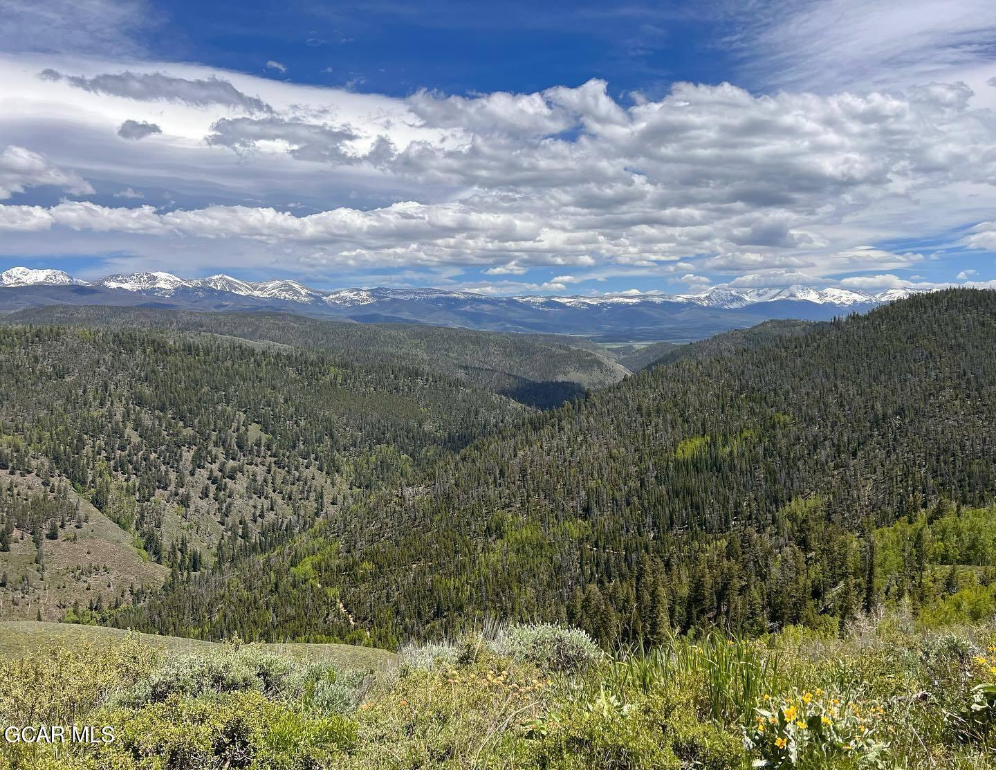 1350 Mount Neva Drive Granby CO 80446