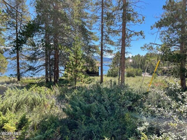 24 GCR 6123 - Lot: 11 Granby CO 80446