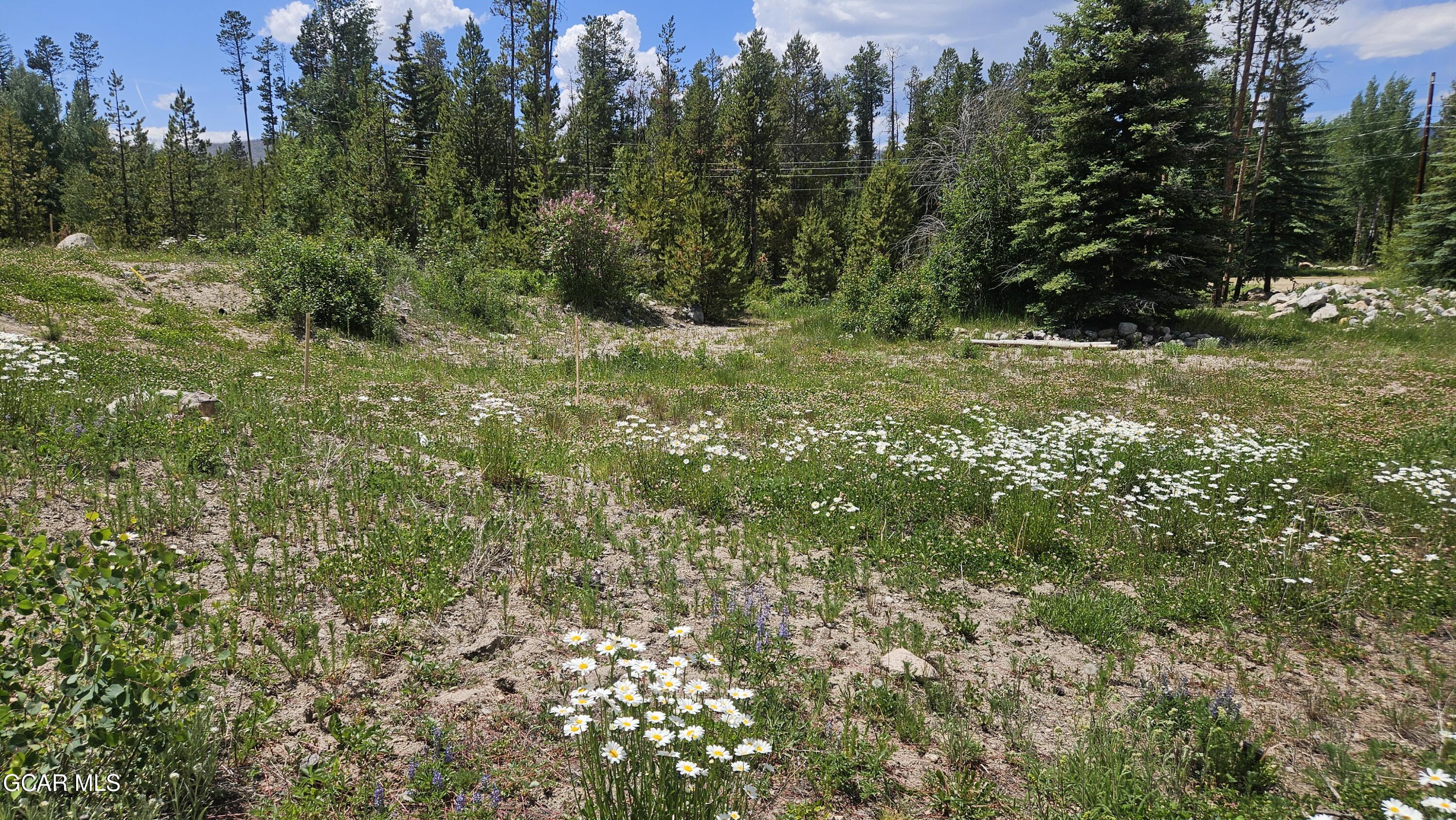 118 GCR 4947 Grand Lake CO 80447