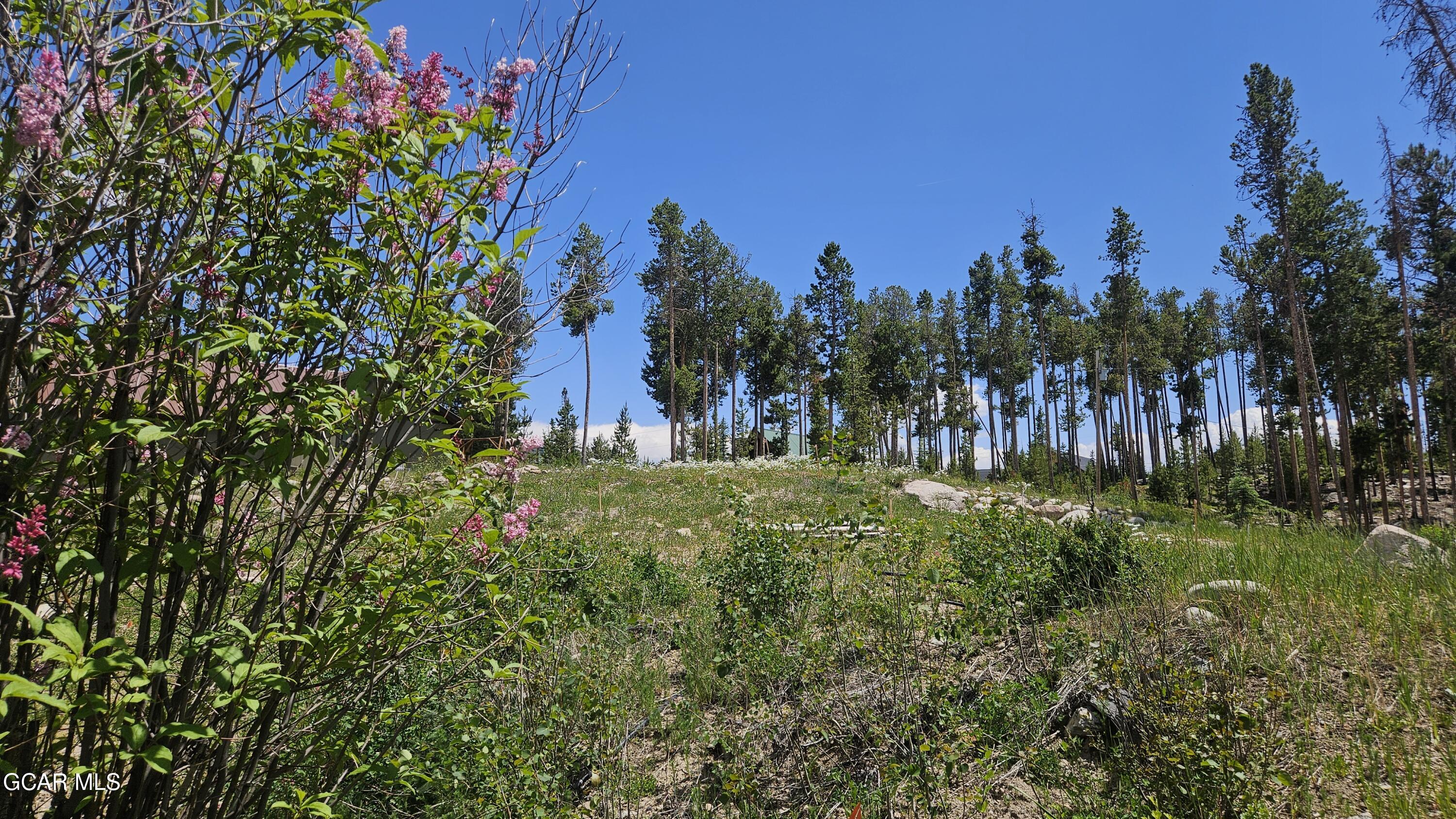 118 GCR 4947 Grand Lake CO 80447
