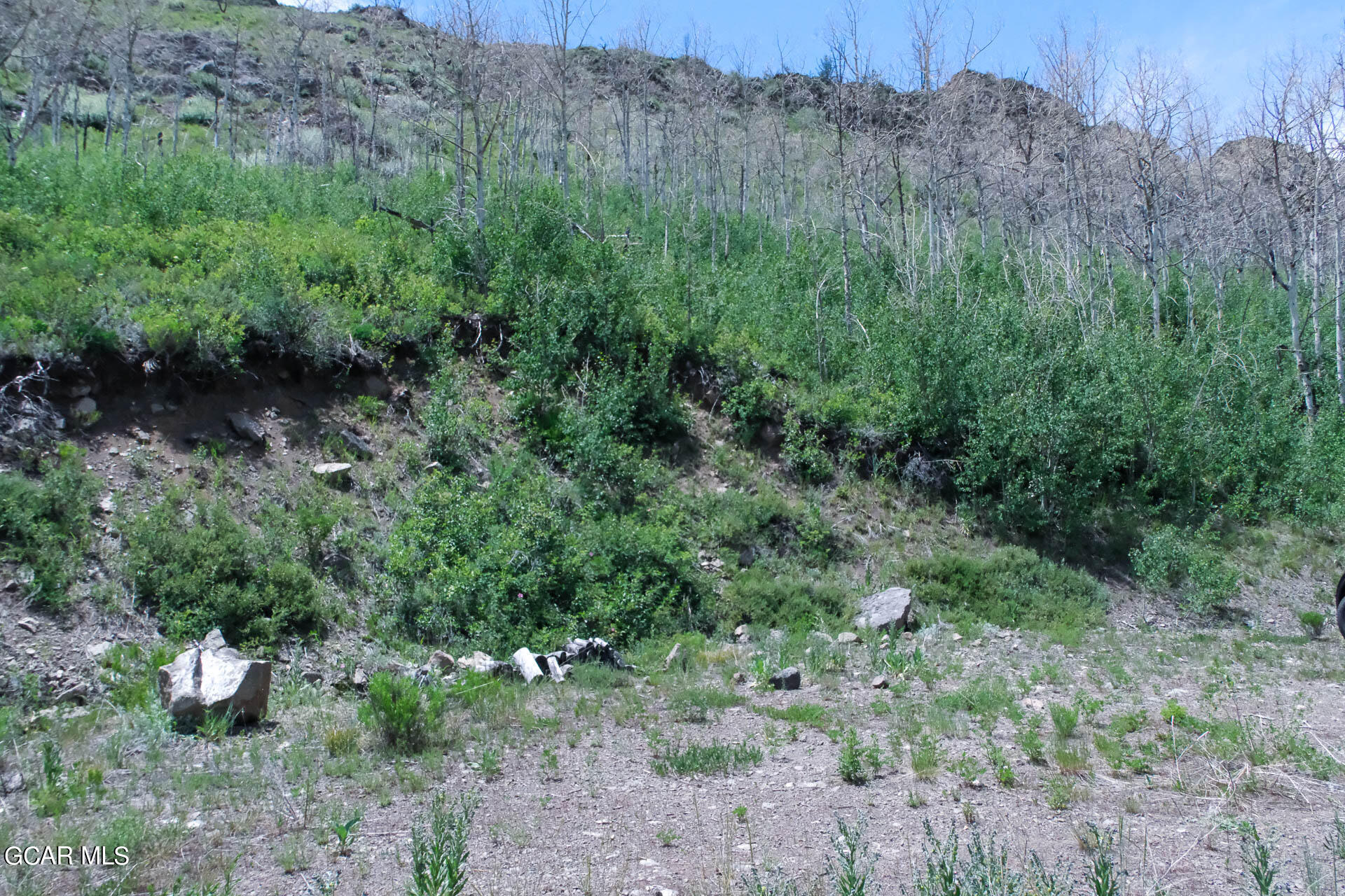 925 GCR 2192 Granby CO 80446