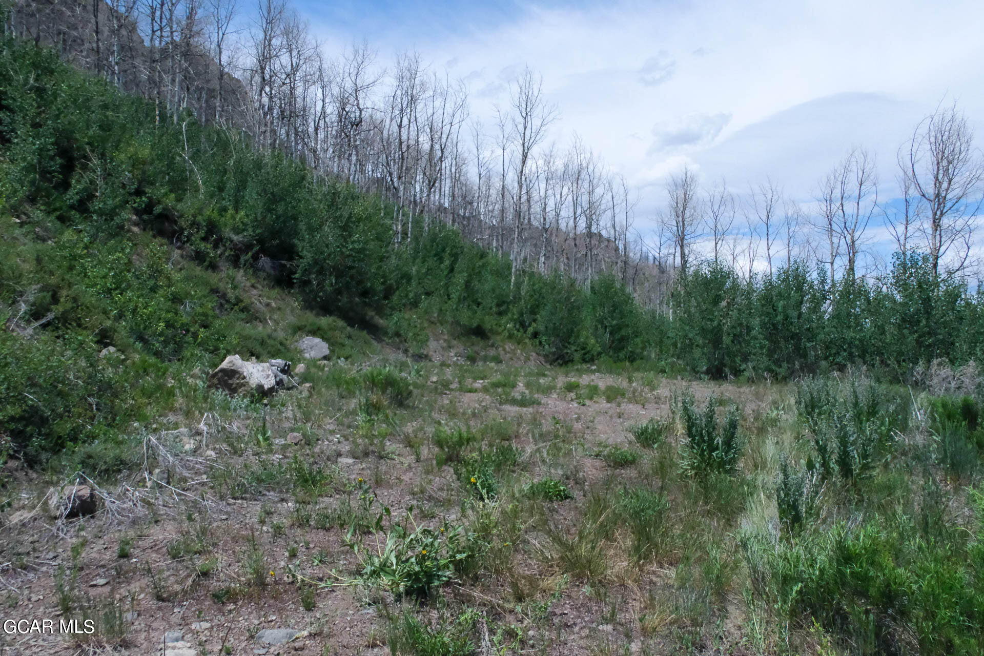 925 GCR 2192 Granby CO 80446