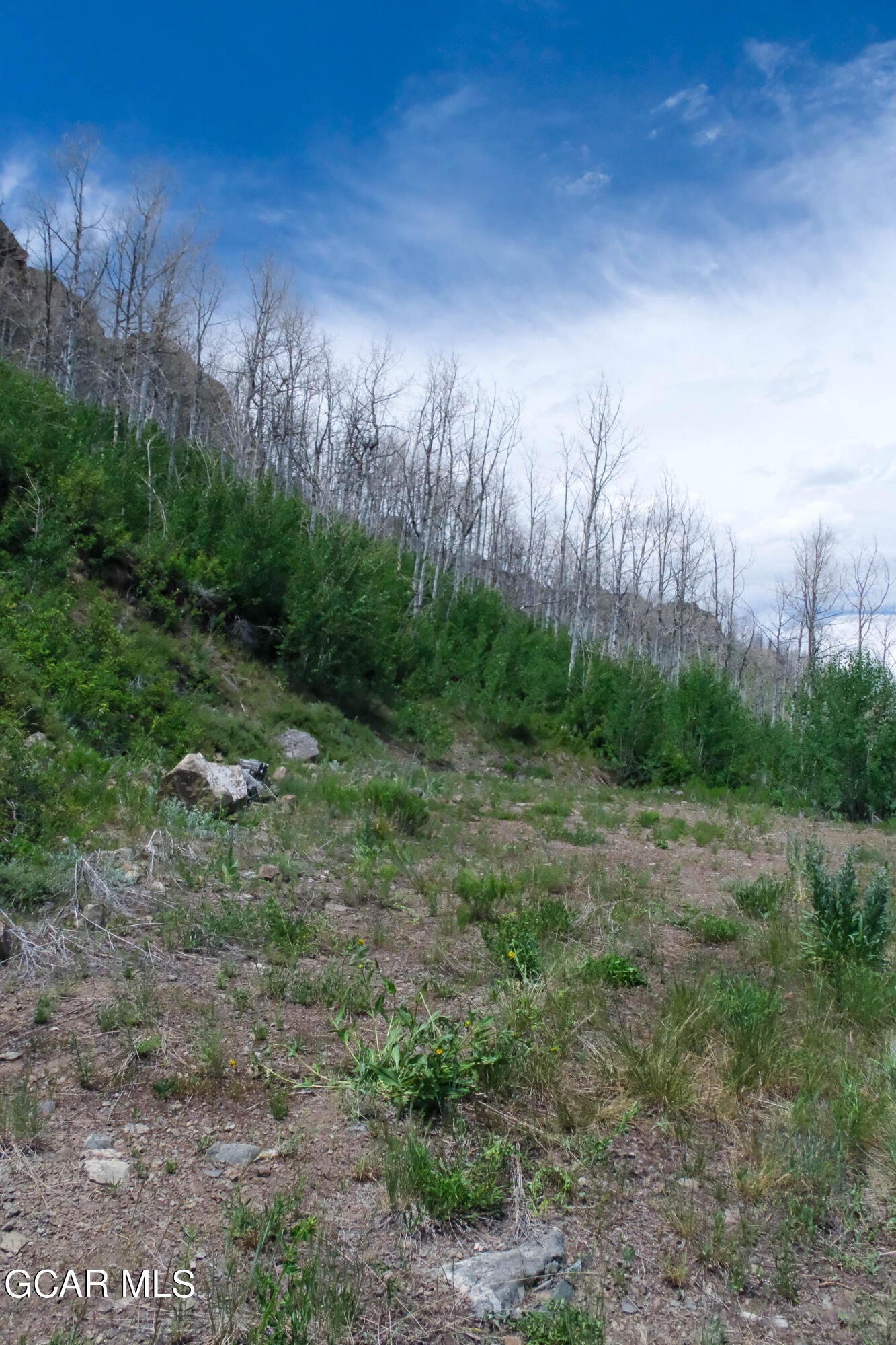 925 GCR 2192 Granby CO 80446