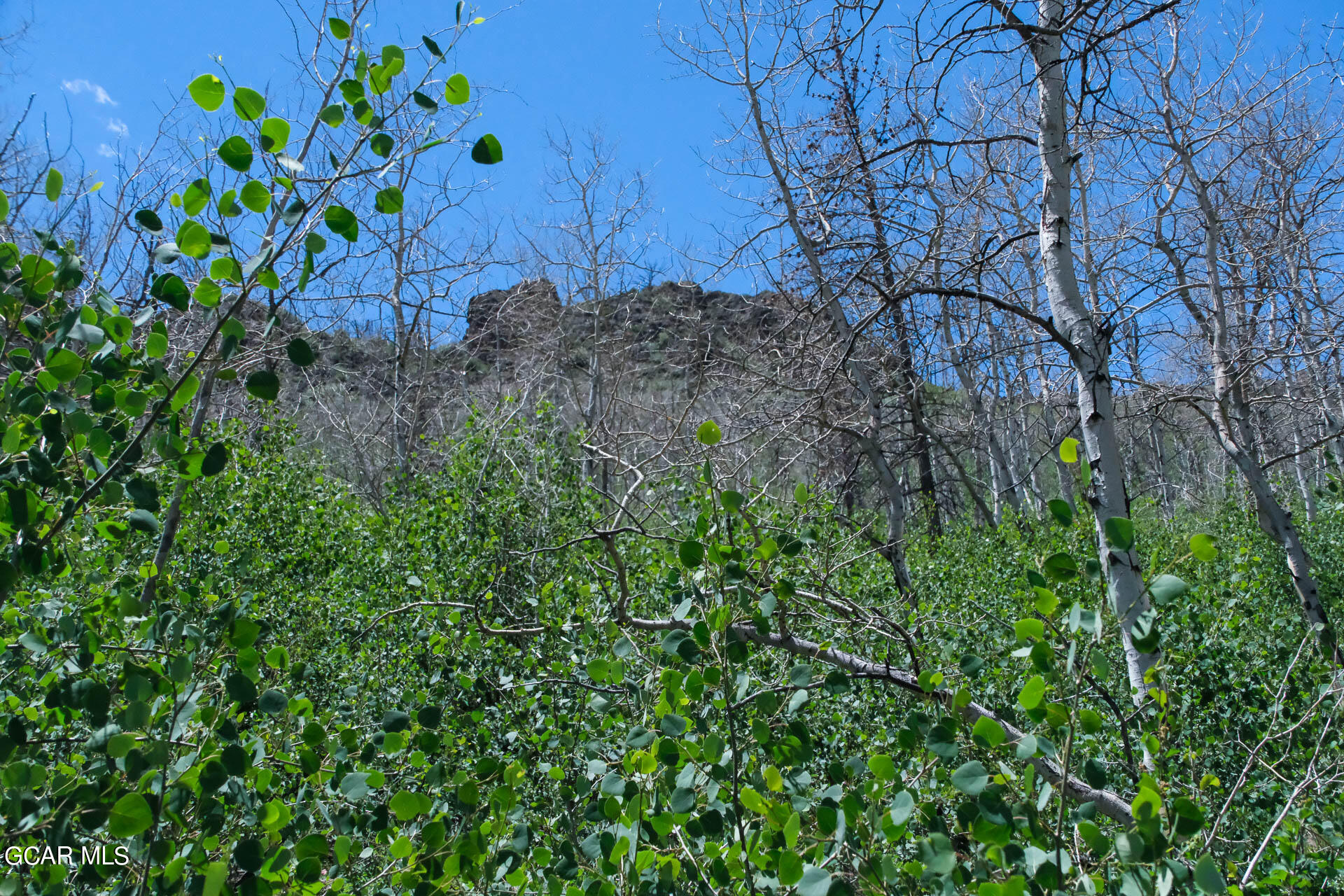 925 GCR 2192 Granby CO 80446