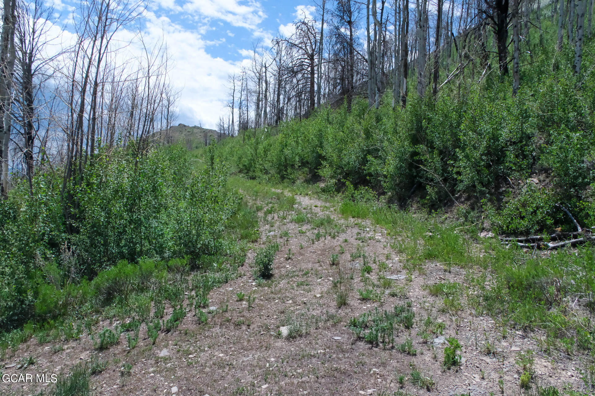 925 GCR 2192 Granby CO 80446