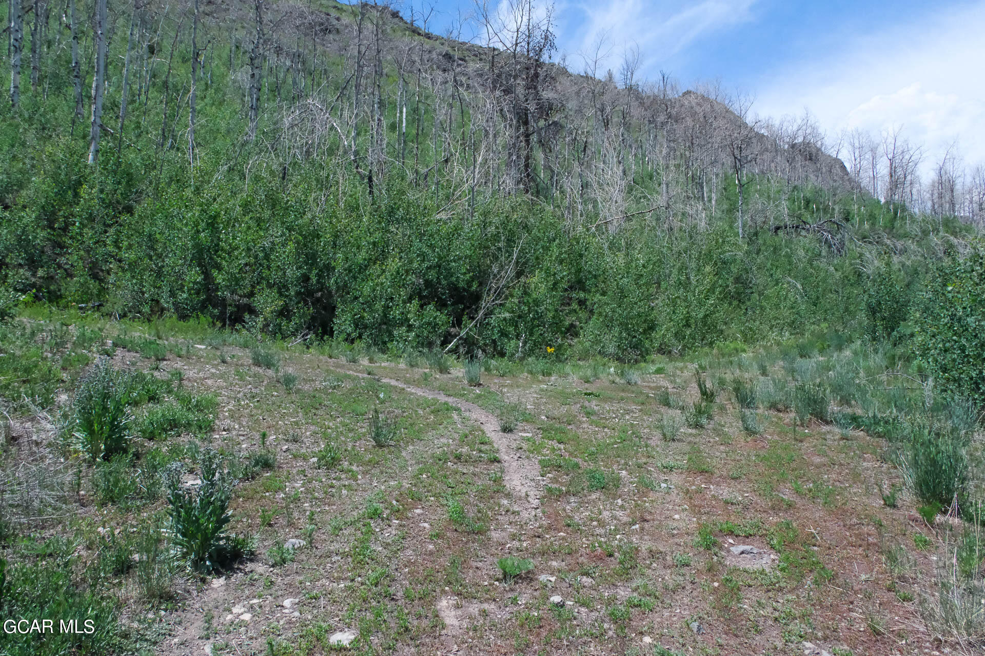 925 GCR 2192 Granby CO 80446