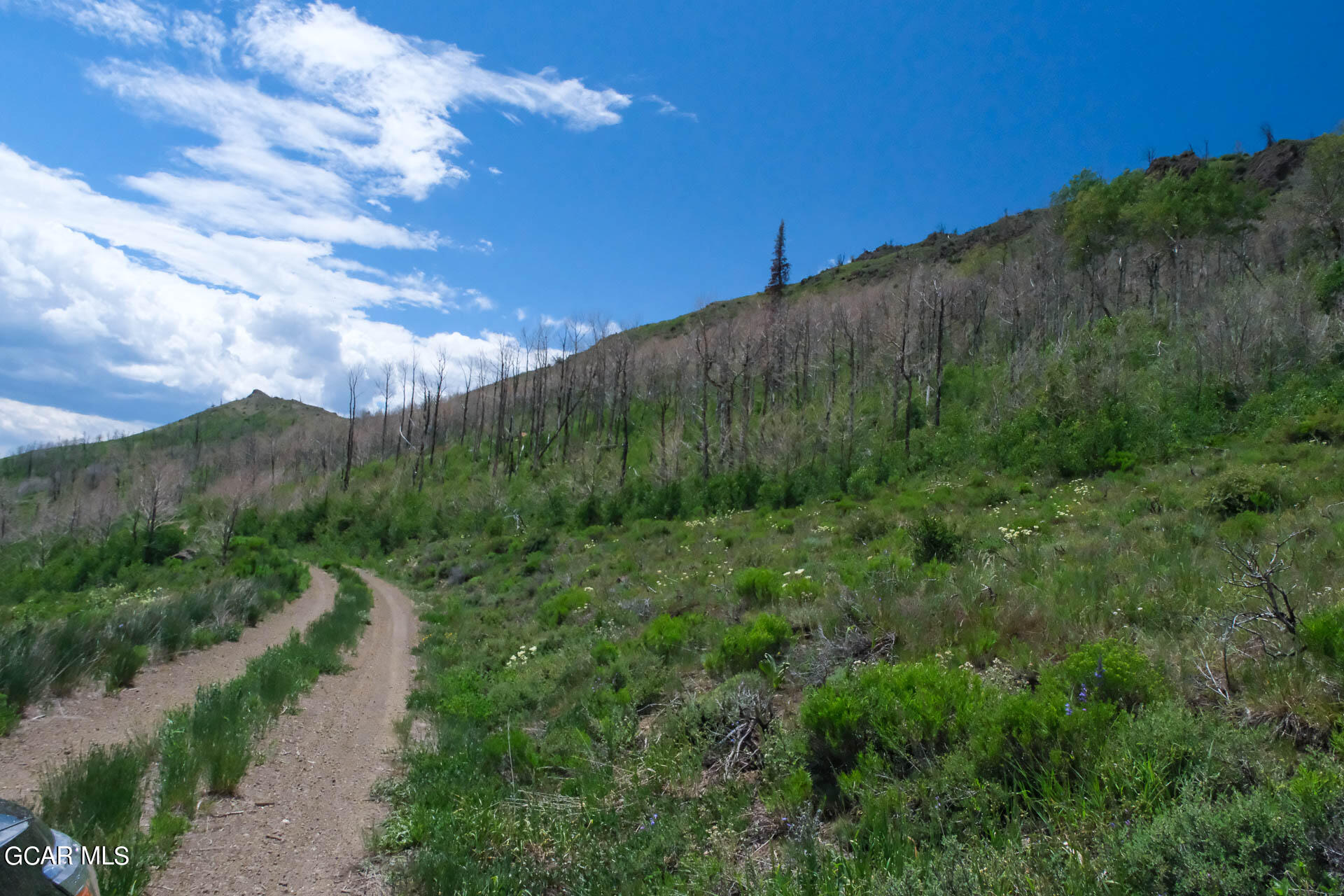 925 GCR 2192 Granby CO 80446