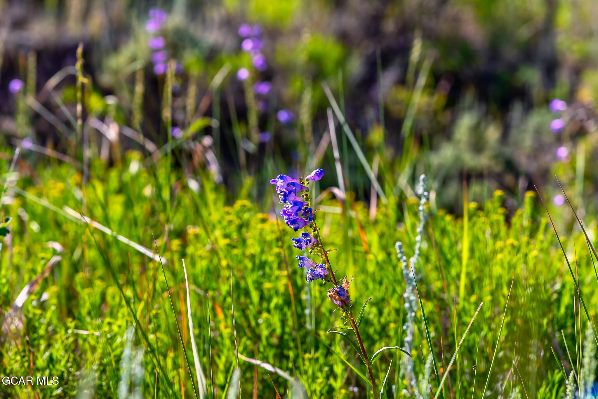 800 GCR 22313 Kremmling CO 80459