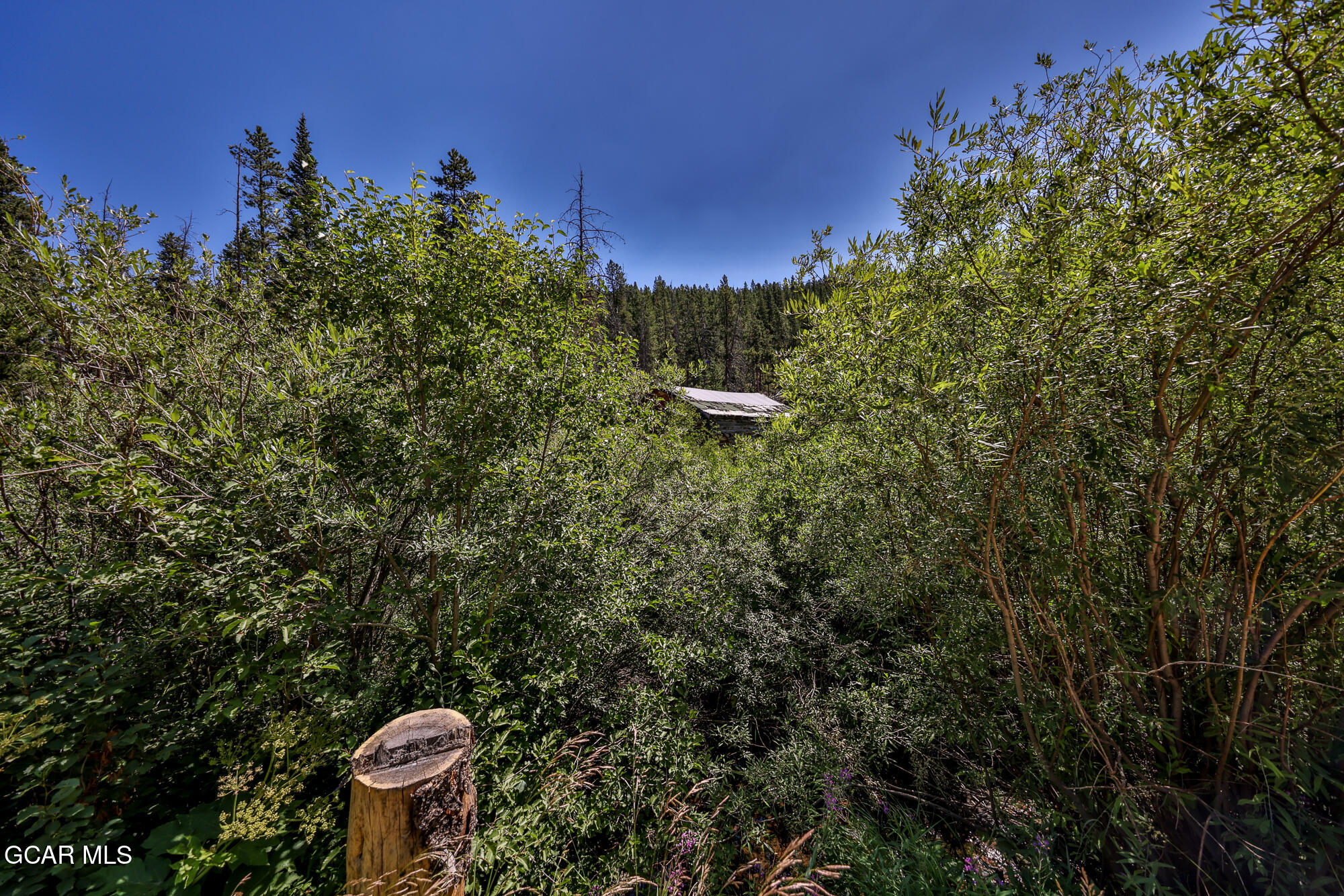 550 GCR 8411 Tabernash CO 80478