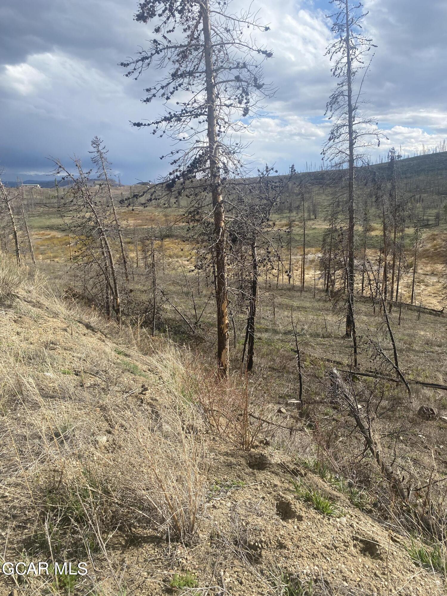 984 GCR 451 Grand Lake CO 80447