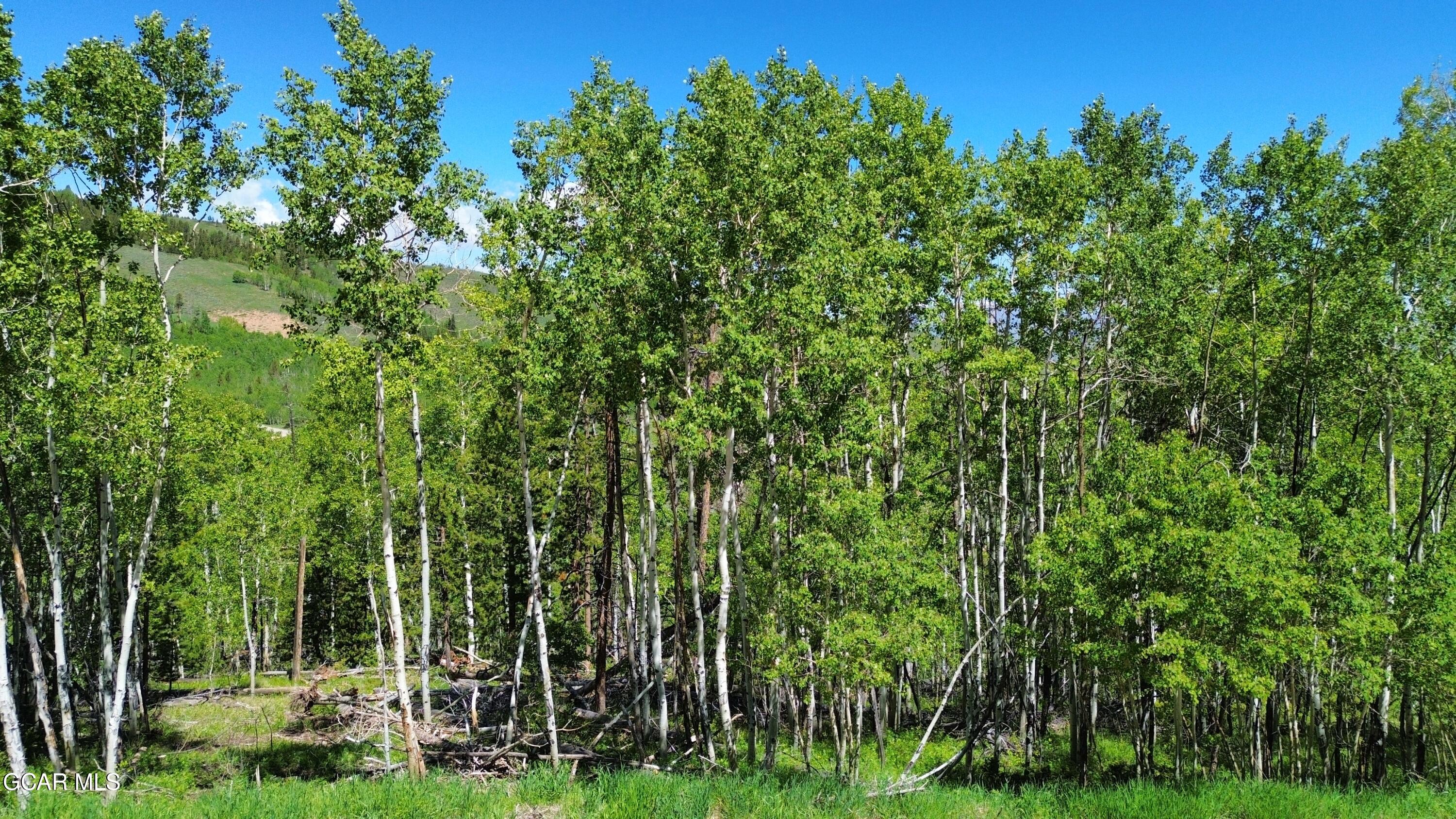 1765 GCR 881 Aka Grenoble Street Granby CO 80446