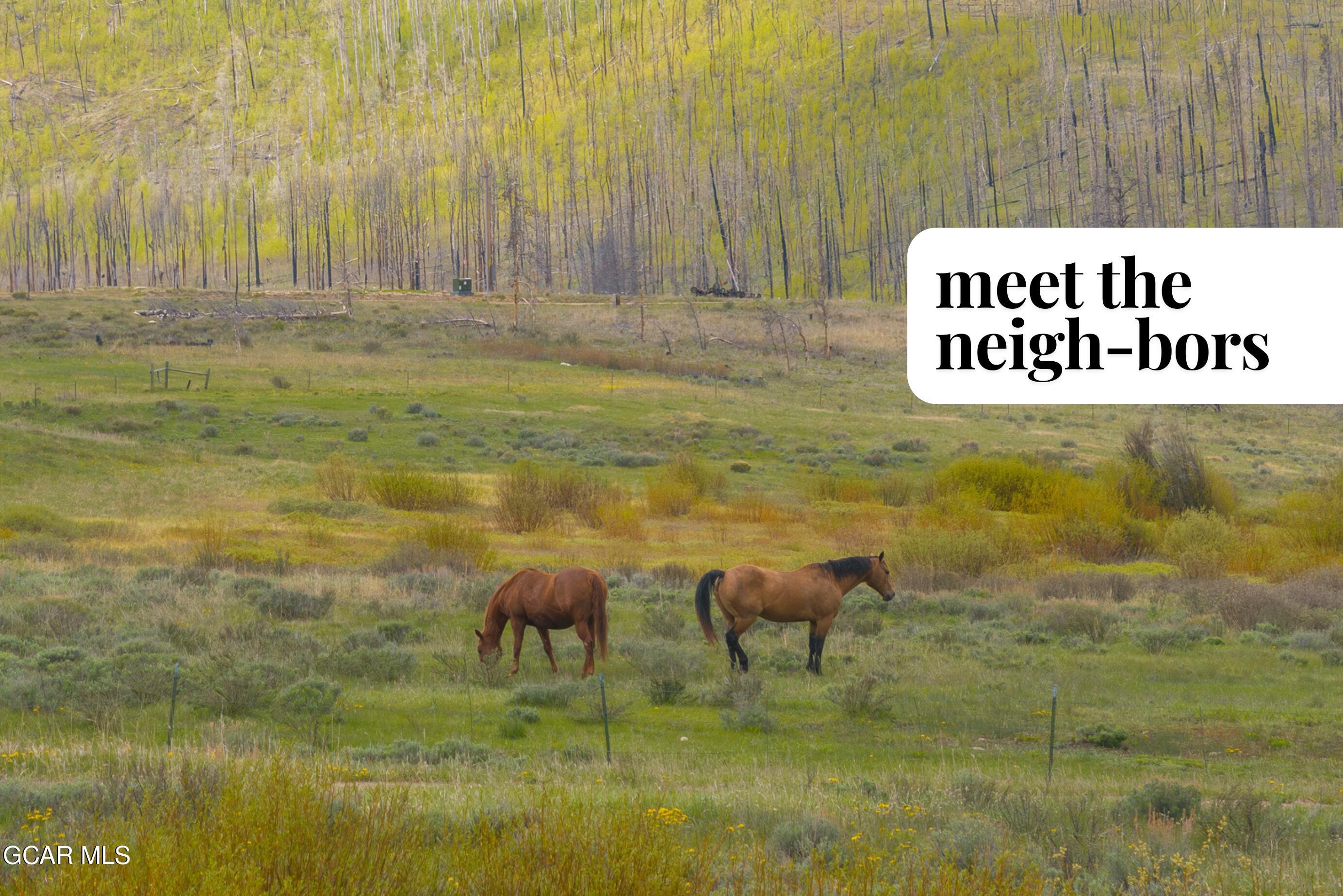 436 GCR 4116 Grand Lake CO 80447