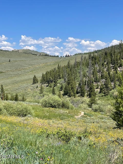 2509 GCR 88 Drive Granby CO 80446