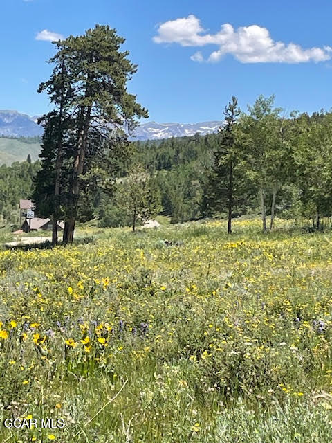 2509 GCR 88 Drive Granby CO 80446