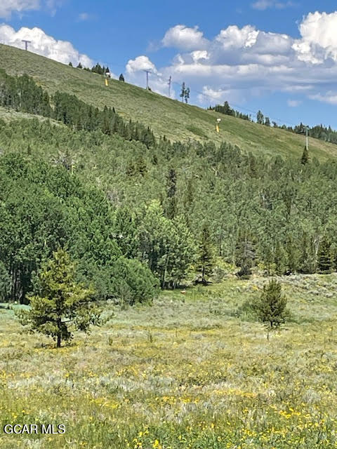 2509 GCR 88 Drive Granby CO 80446