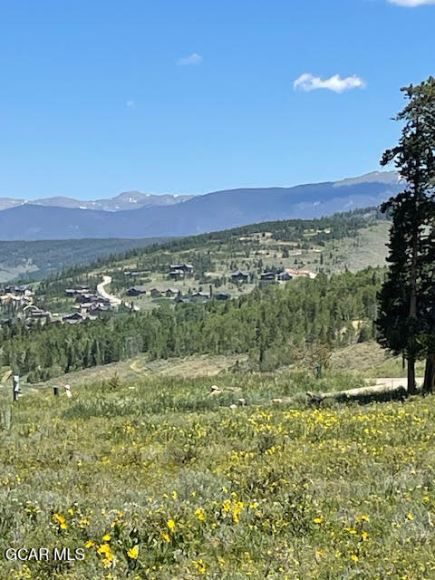 2509 GCR 88 Drive Granby CO 80446