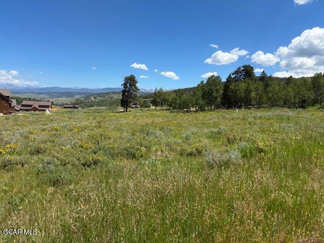 2509 GCR 88 Drive Granby CO 80446