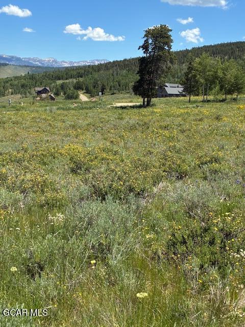 2509 GCR 88 Drive Granby CO 80446