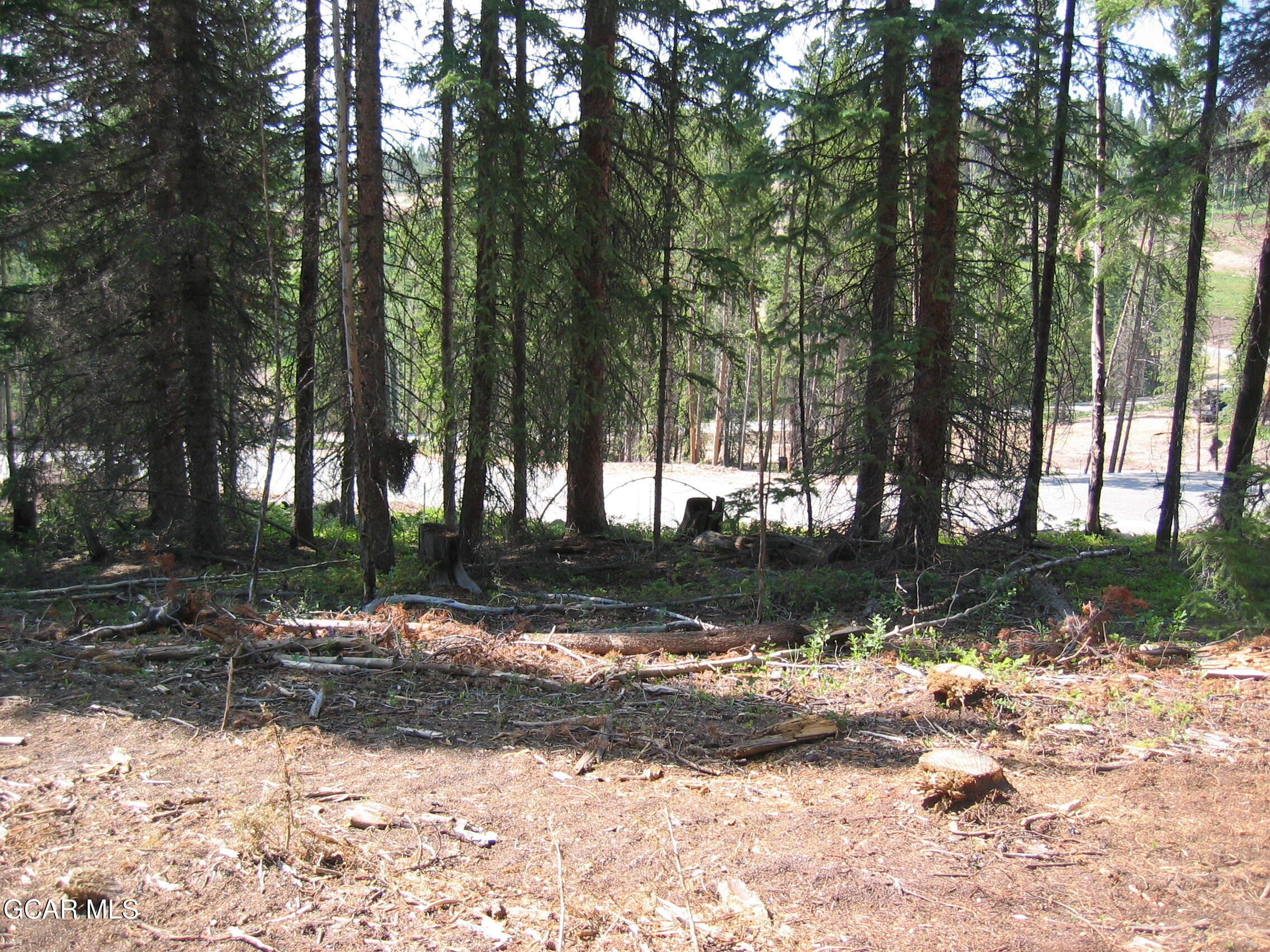 2362 Pioneer Trail Fraser CO 80442