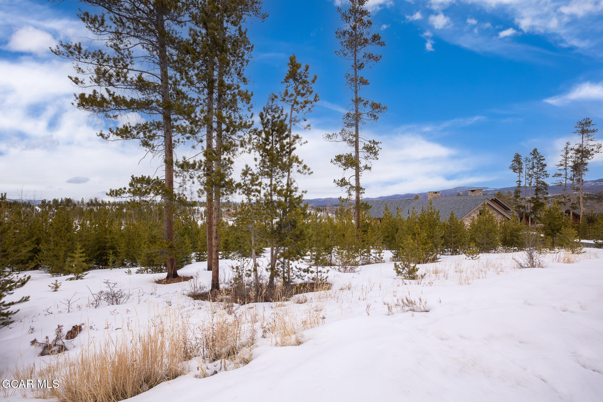 224 Leland Creek Circle Winter Park CO 80482