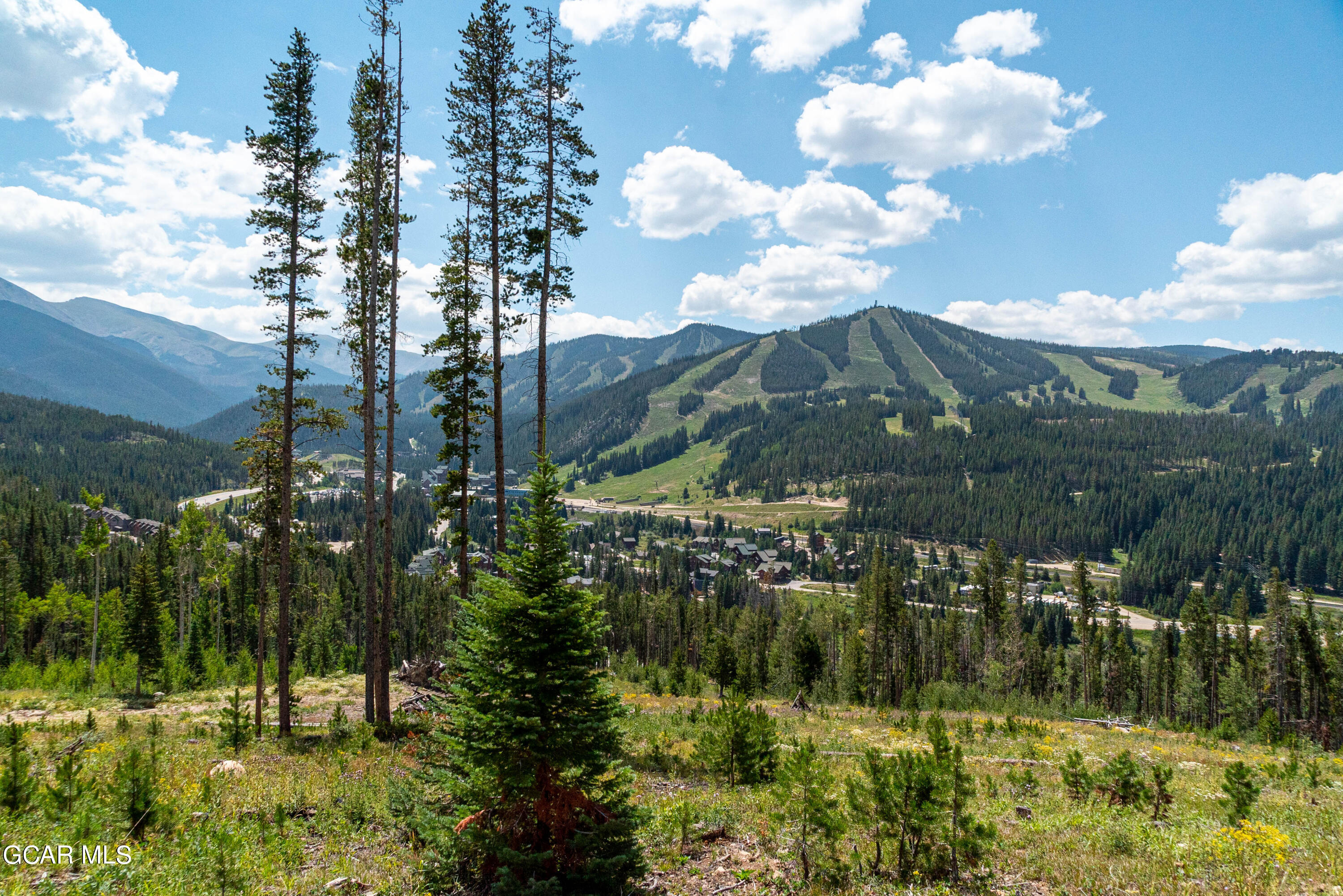40 Cub Creek Way, Lot 2 Winter Park CO 80482