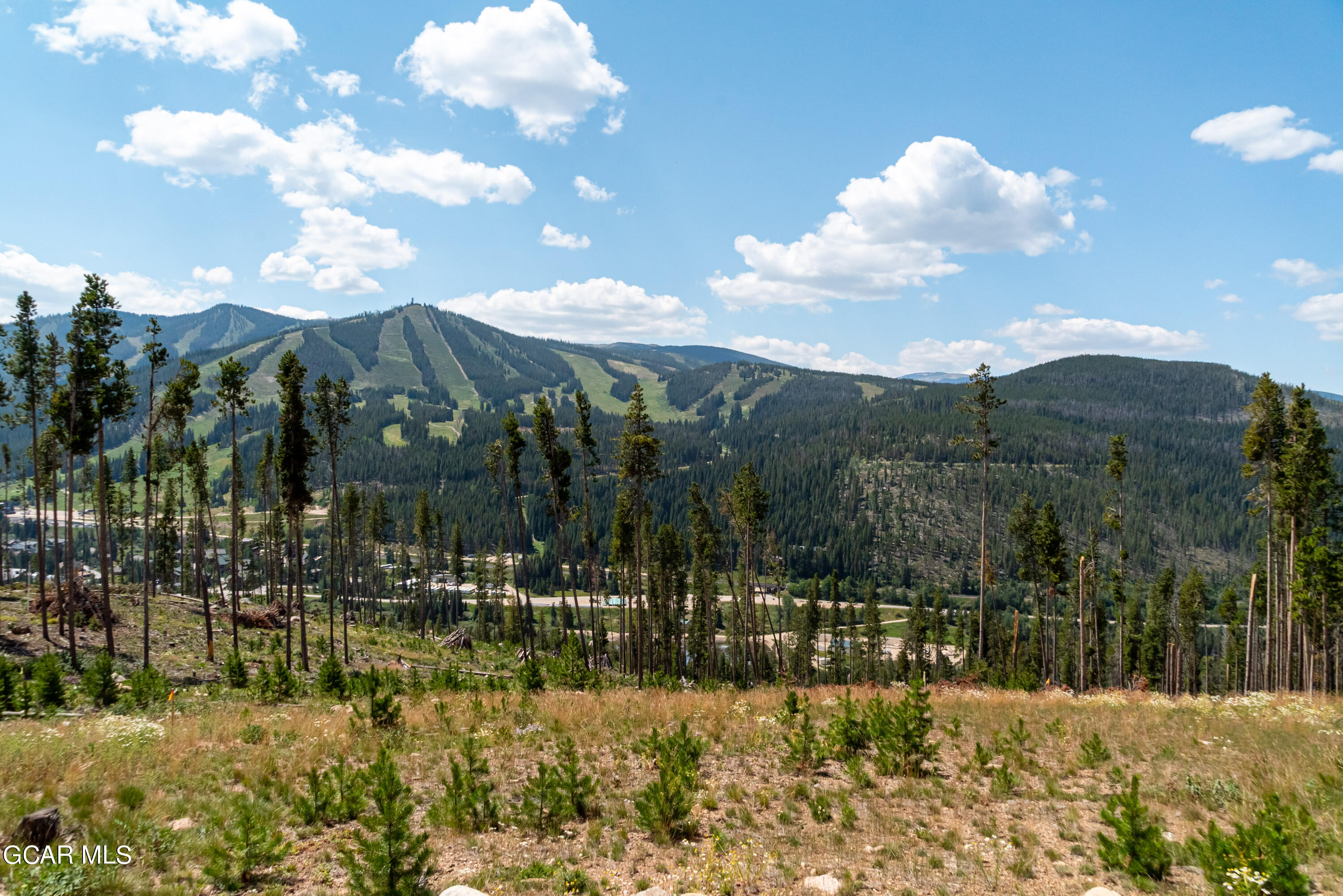 40 Cub Creek Way, Lot 2 Winter Park CO 80482