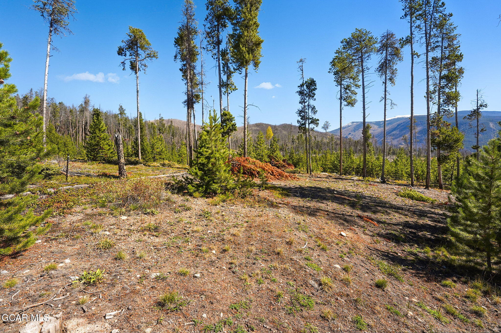 568 Old Tonahutu Ridge Road Grand Lake CO 80447