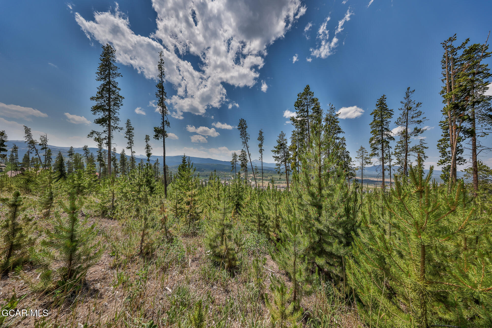 1055 Pioneer Trail Fraser CO 80442