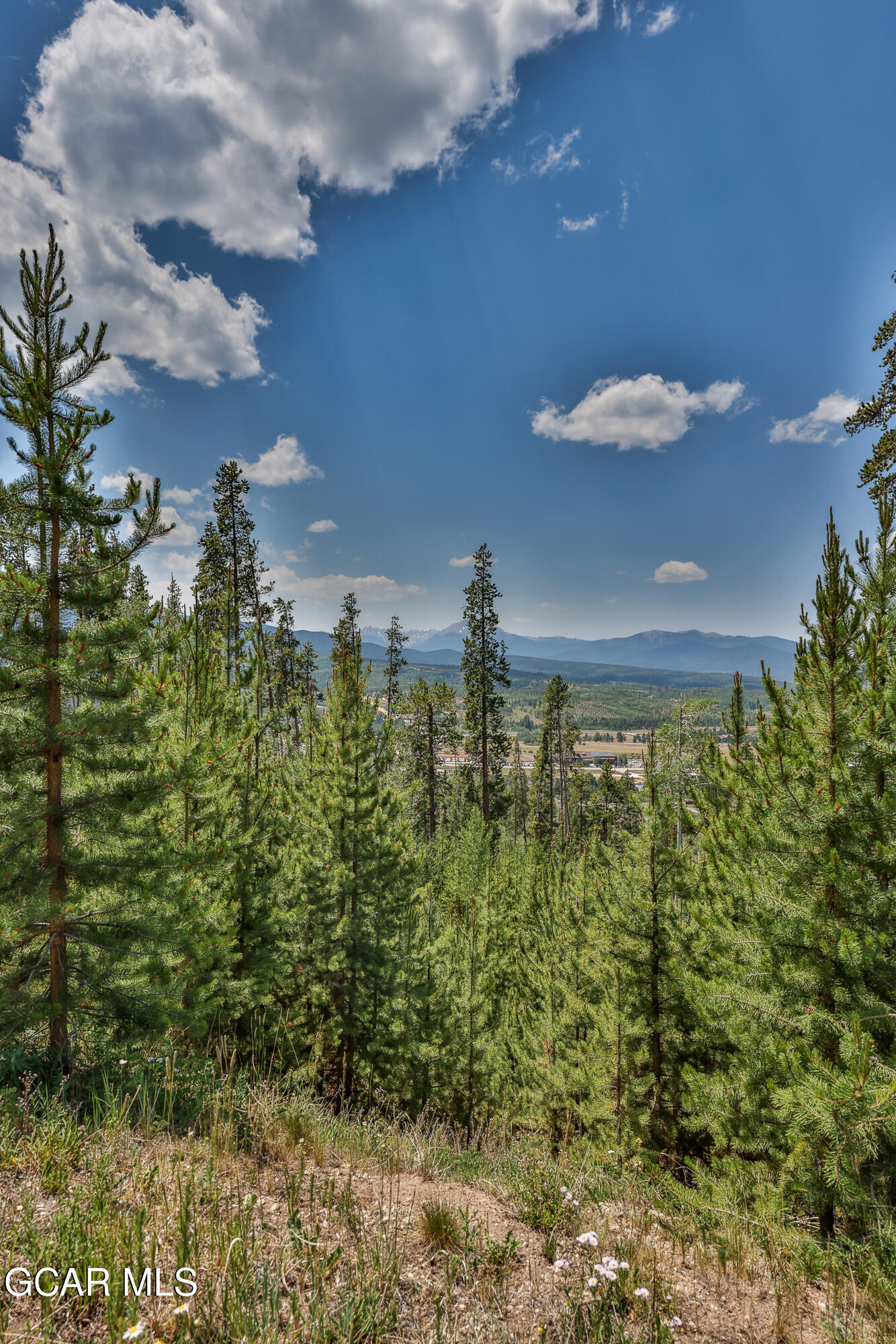 1055 Pioneer Trail Fraser CO 80442