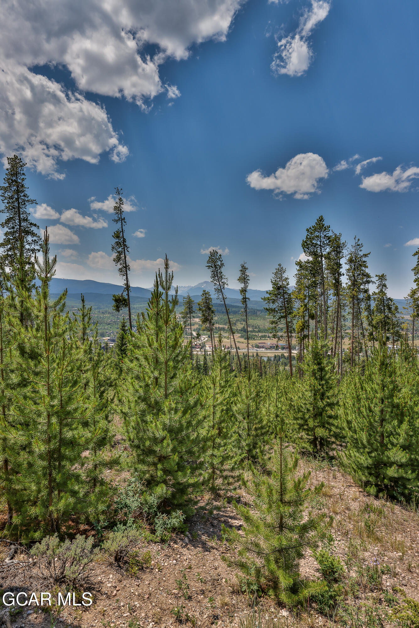 1055 Pioneer Trail Fraser CO 80442