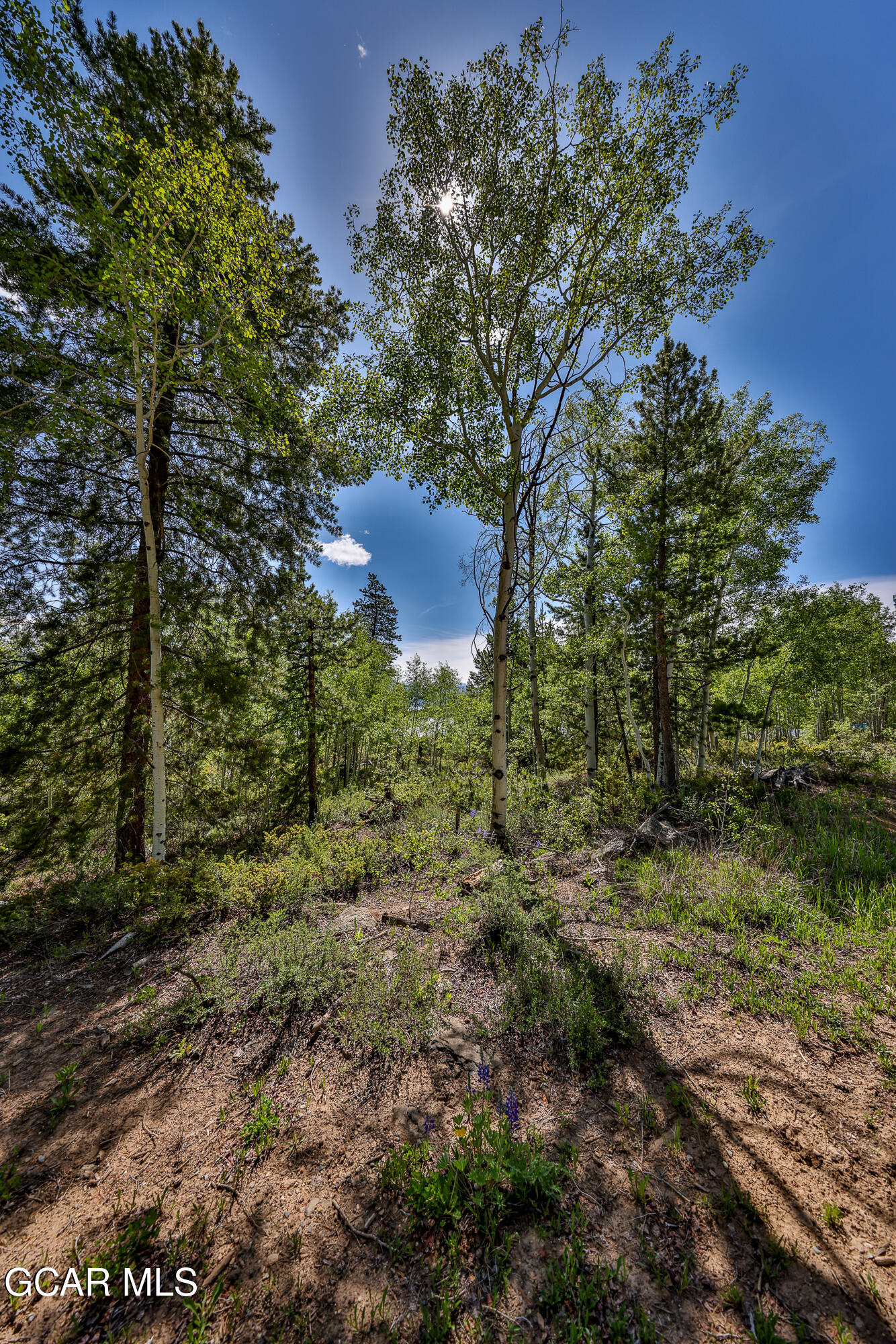 684 GCR 4051 Granby CO 80446