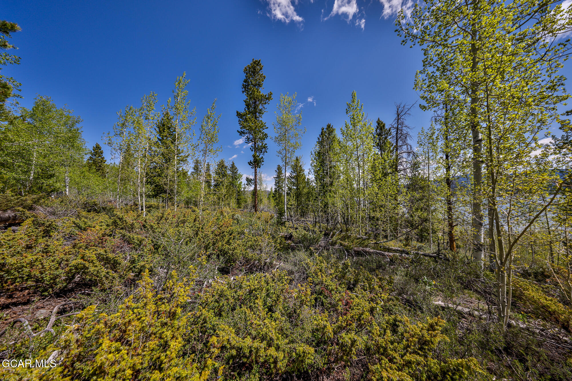 684 GCR 4051 Granby CO 80446