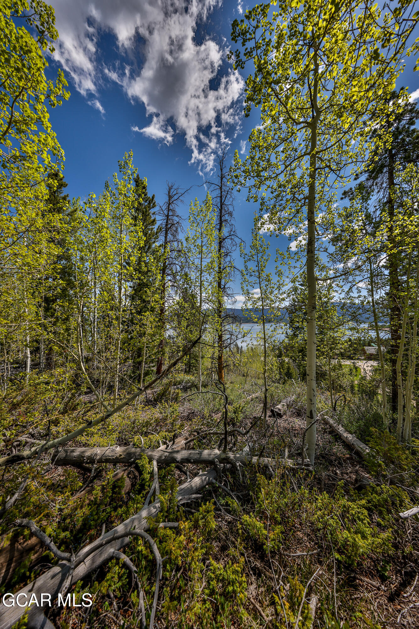 684 GCR 4051 Granby CO 80446