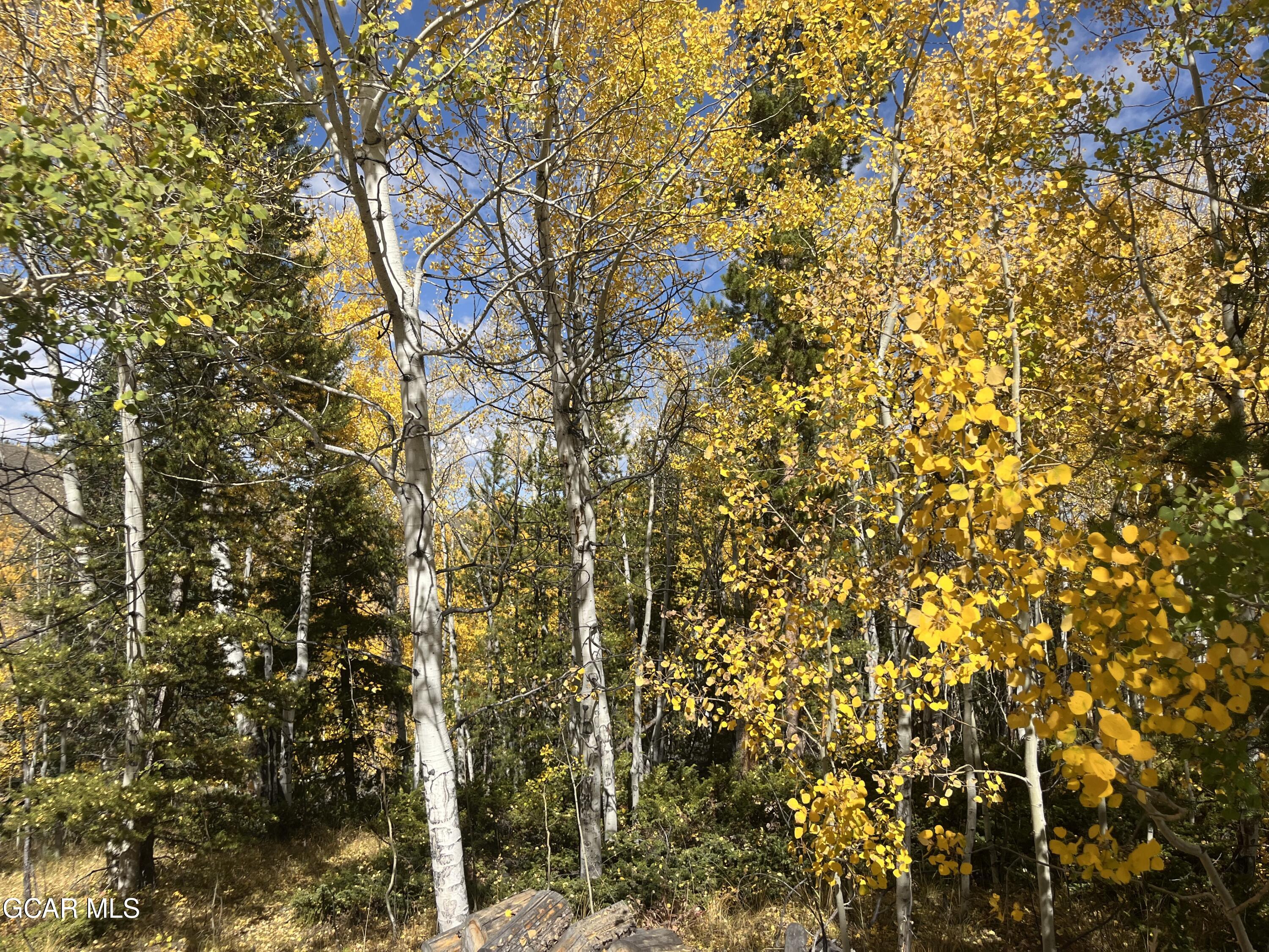 1837 GCR 881 Granby CO 80446