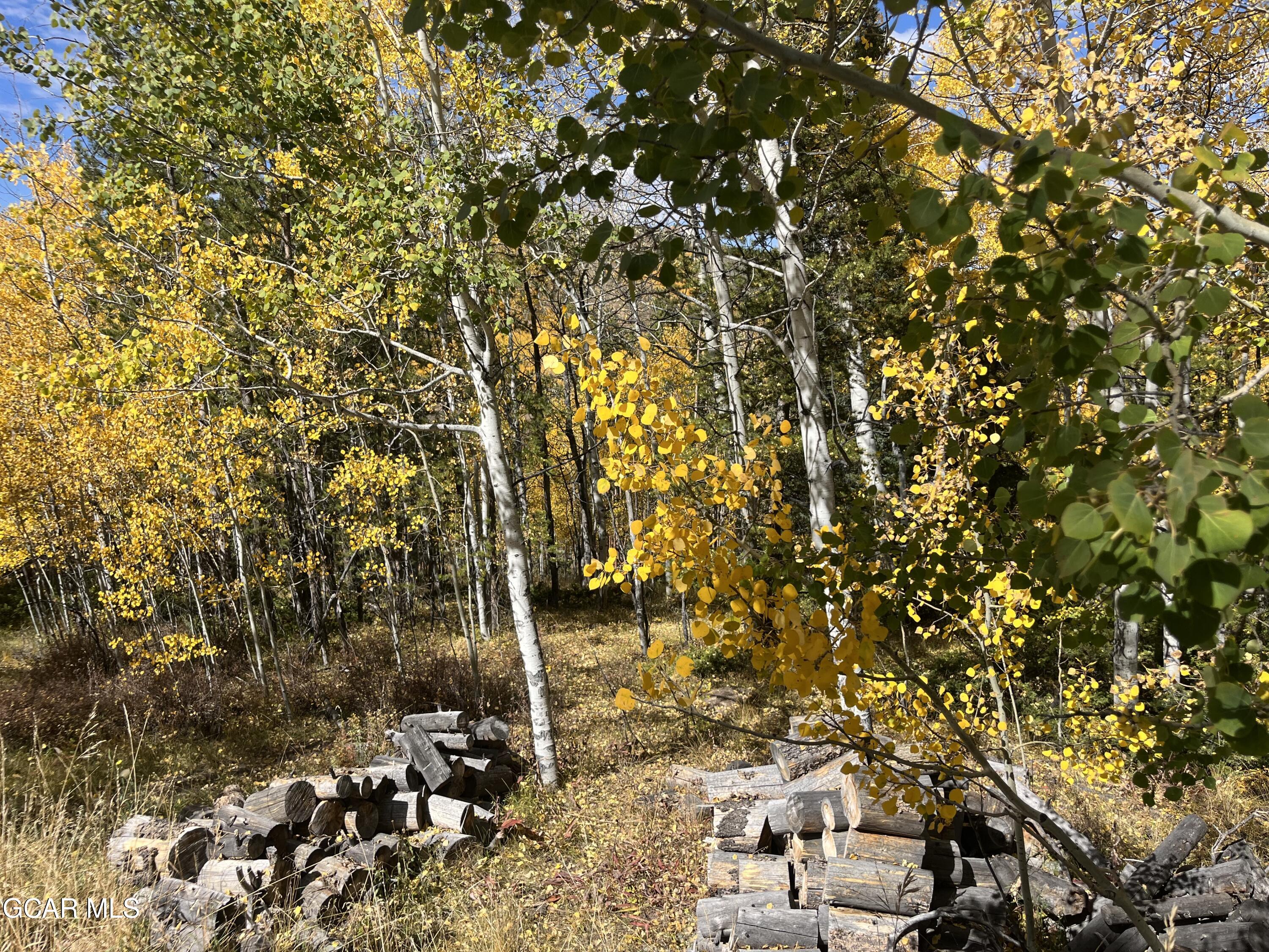 1837 GCR 881 Granby CO 80446