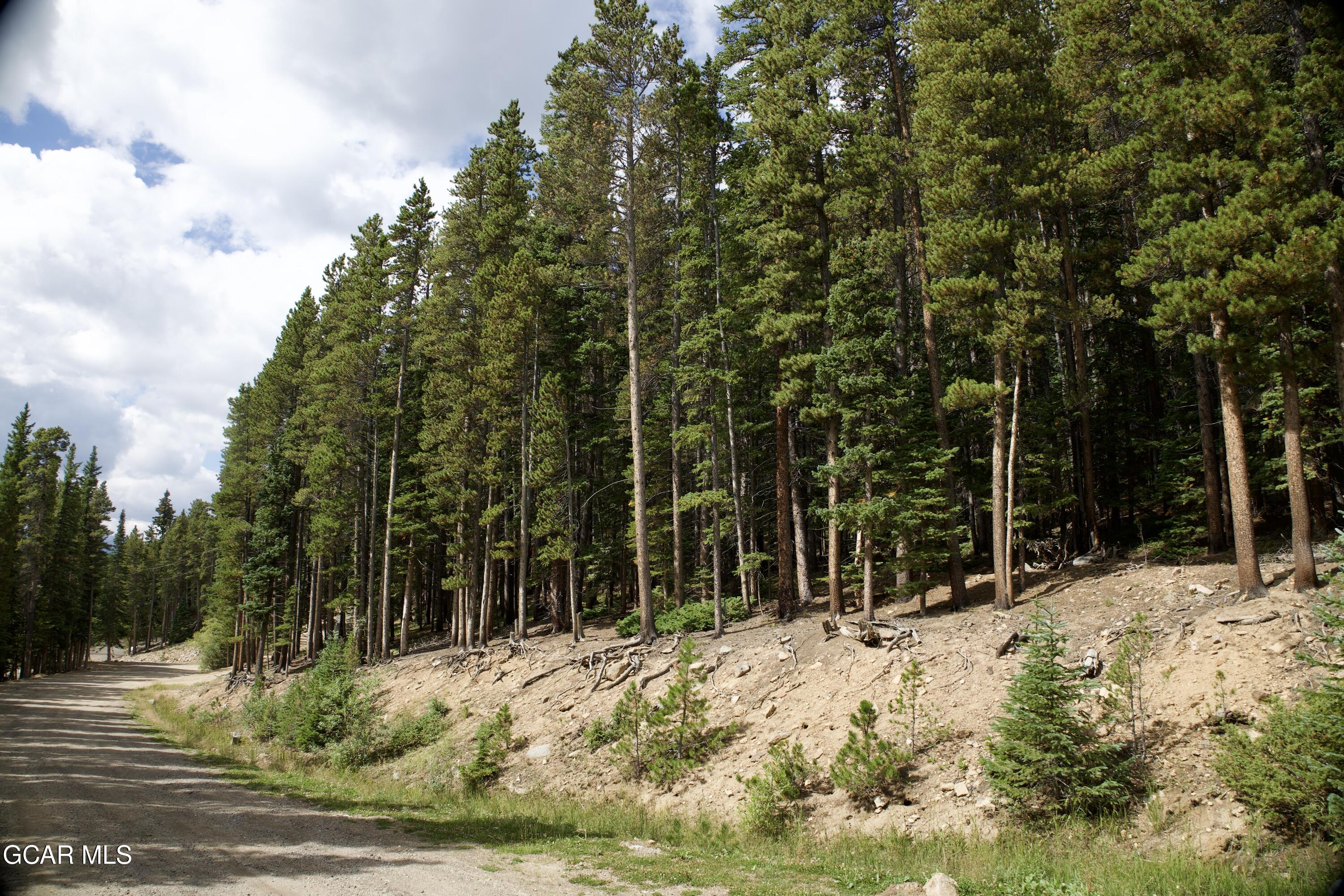 725 Texas Circle Idaho Springs CO 80452