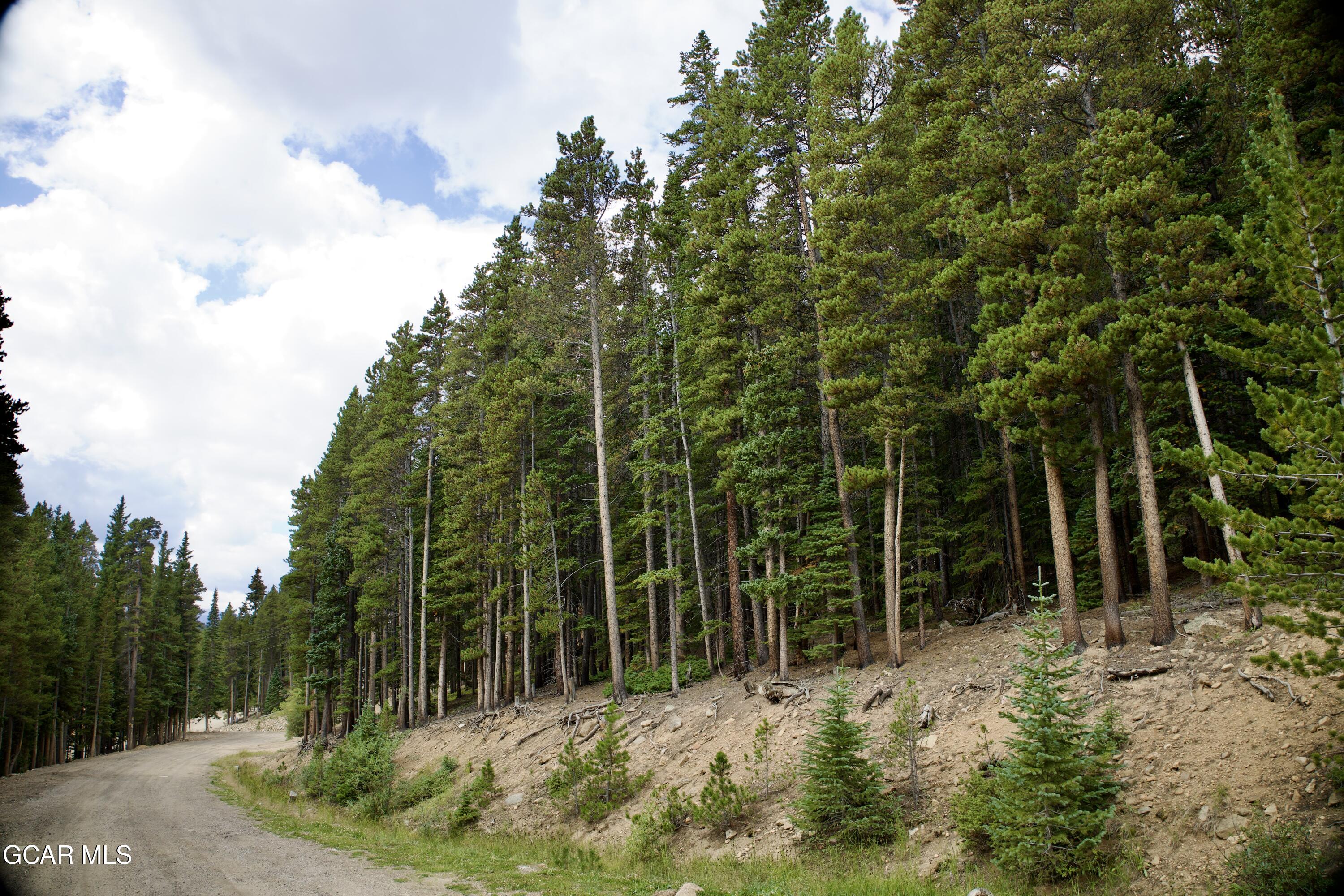 725 Texas Circle Idaho Springs CO 80452