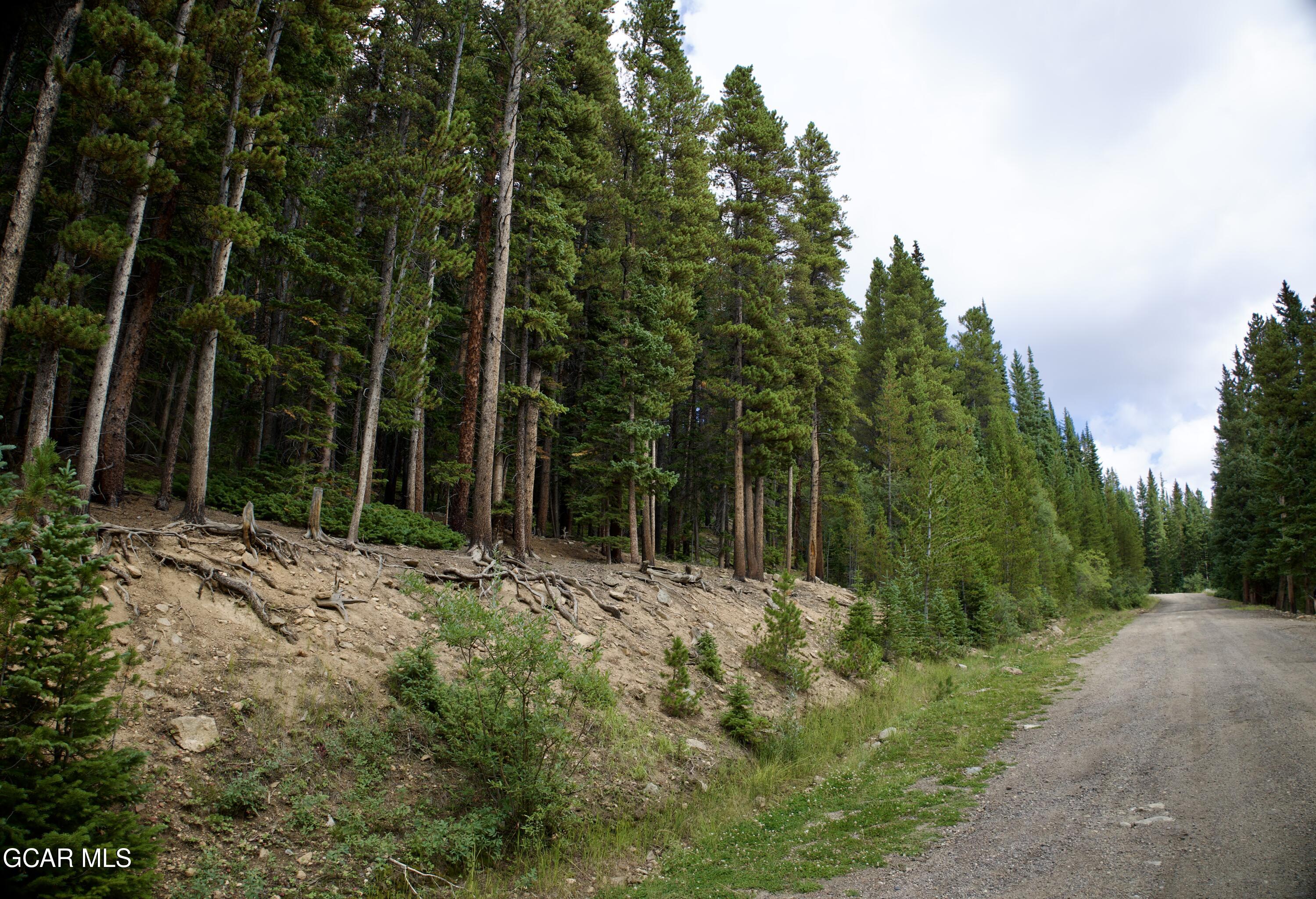 725 Texas Circle Idaho Springs CO 80452