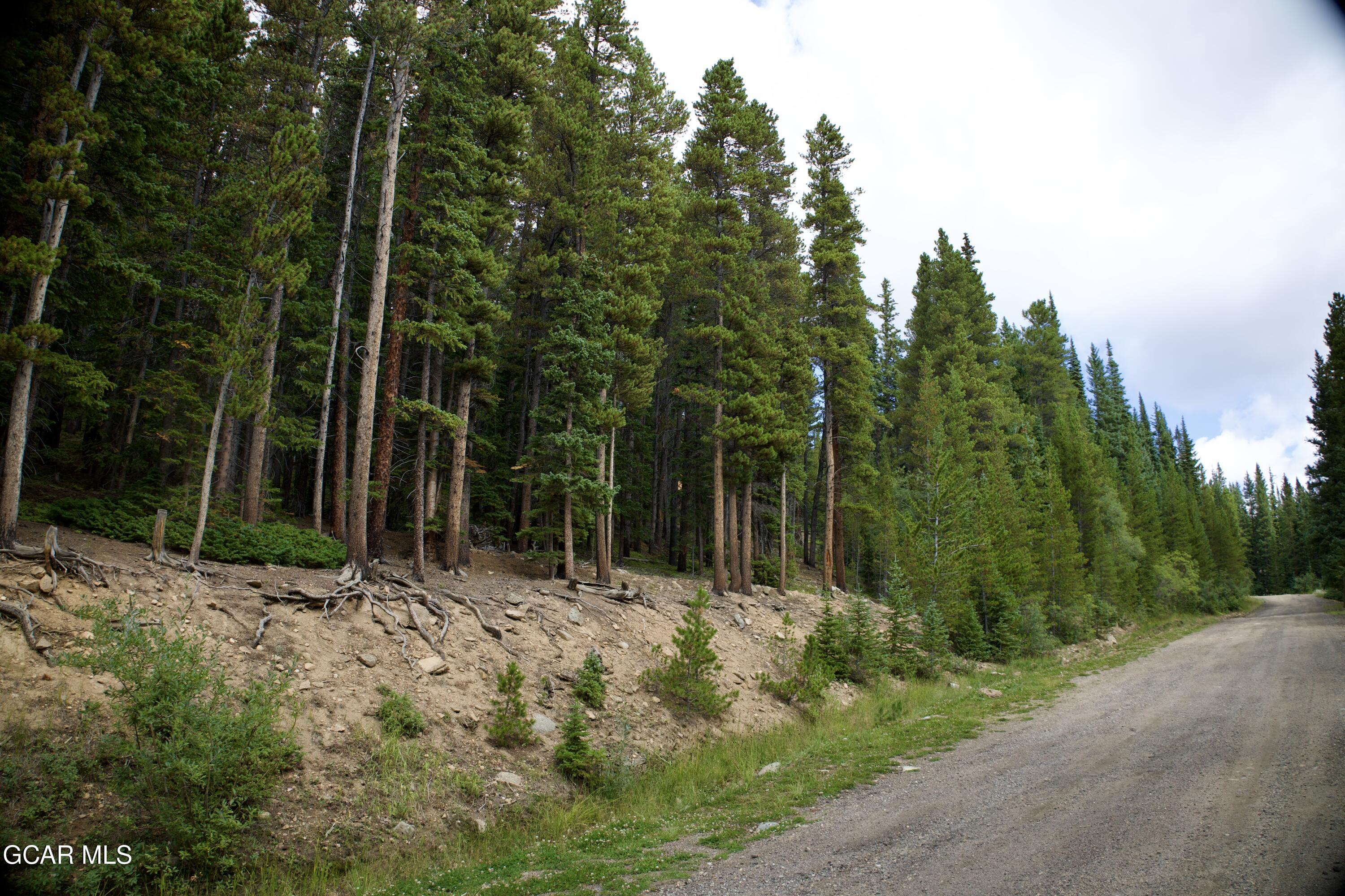 725 Texas Circle Idaho Springs CO 80452