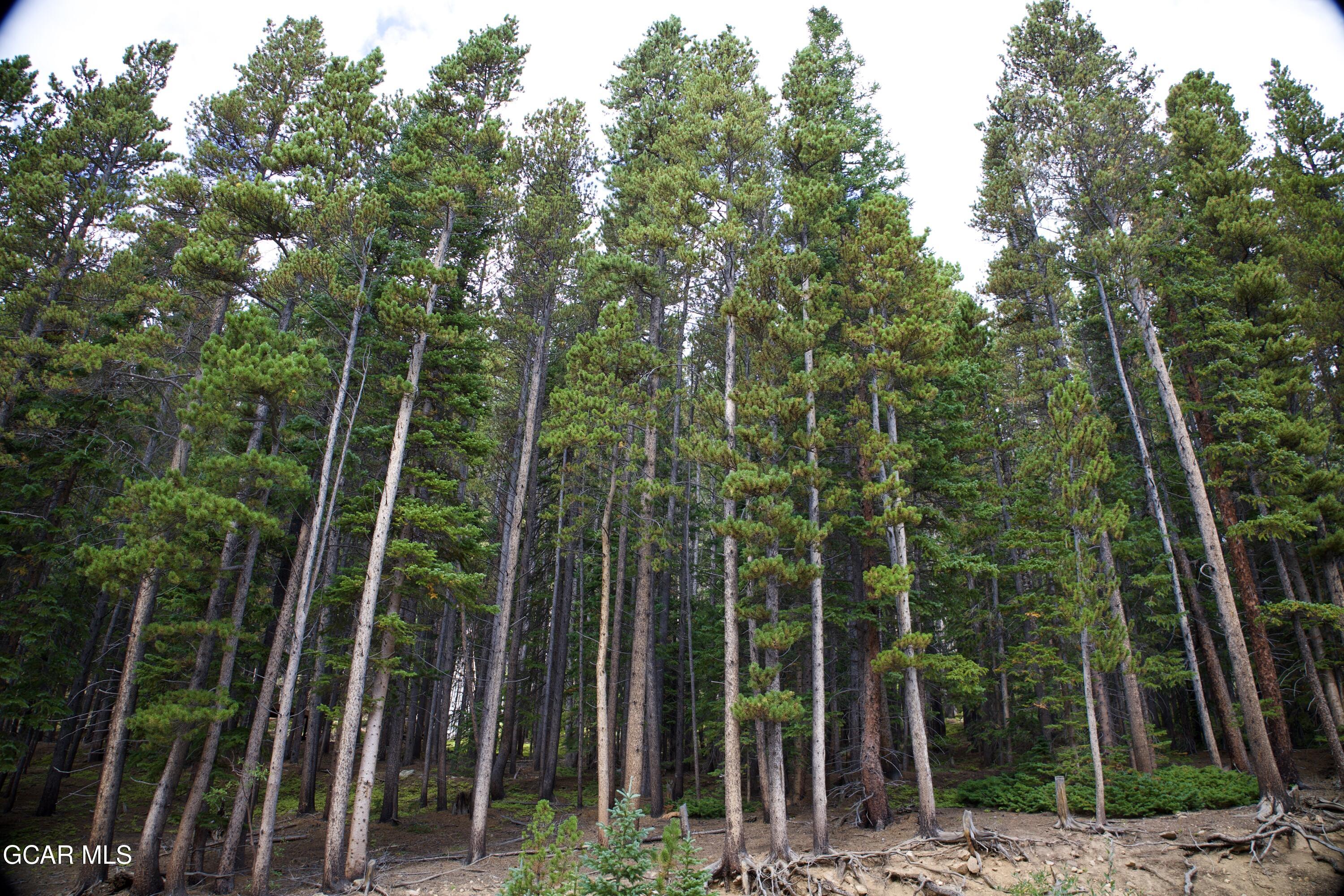 725 Texas Circle Idaho Springs CO 80452
