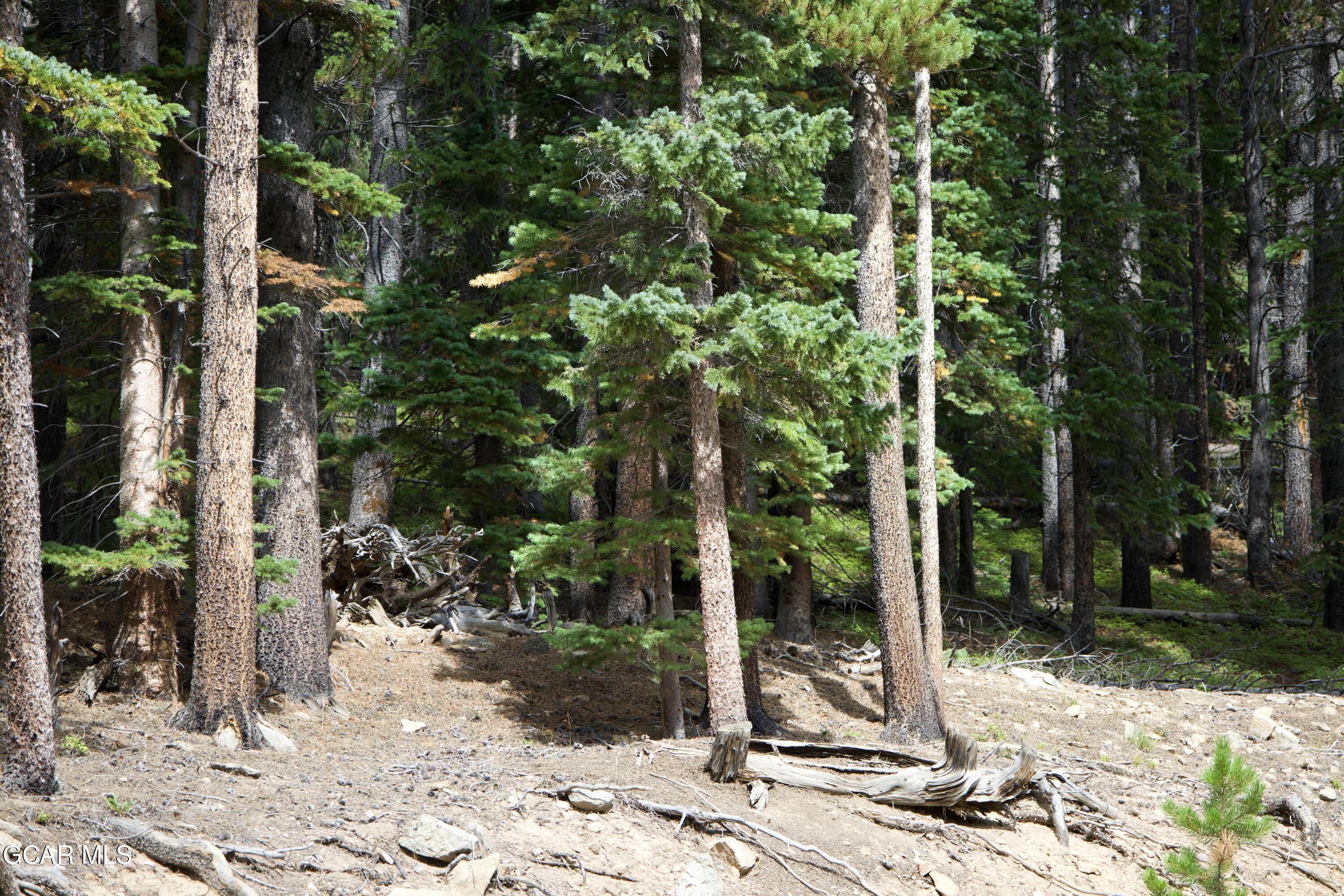 725 Texas Circle Idaho Springs CO 80452