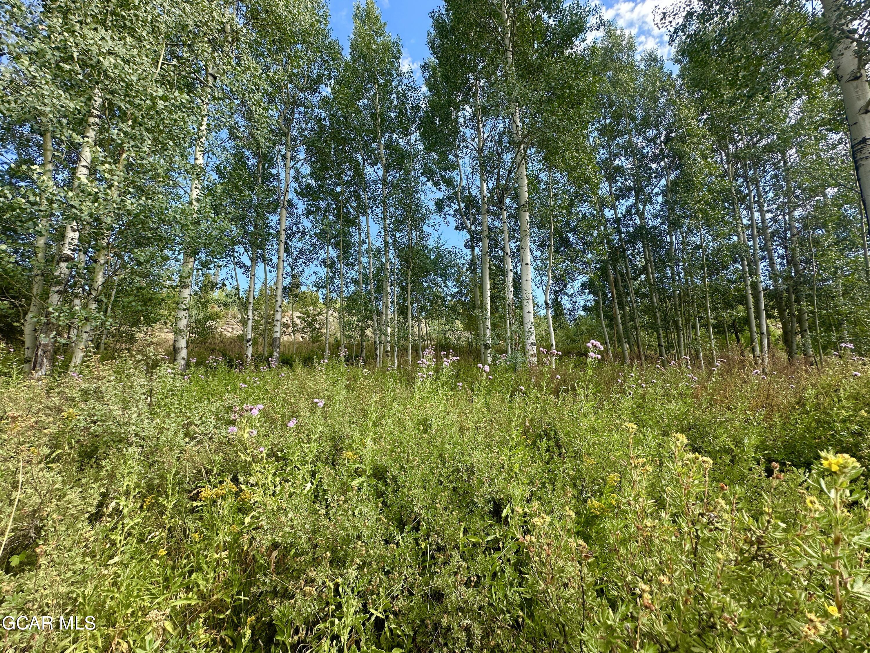 433 GCR 859 Drive Tabernash CO 80478