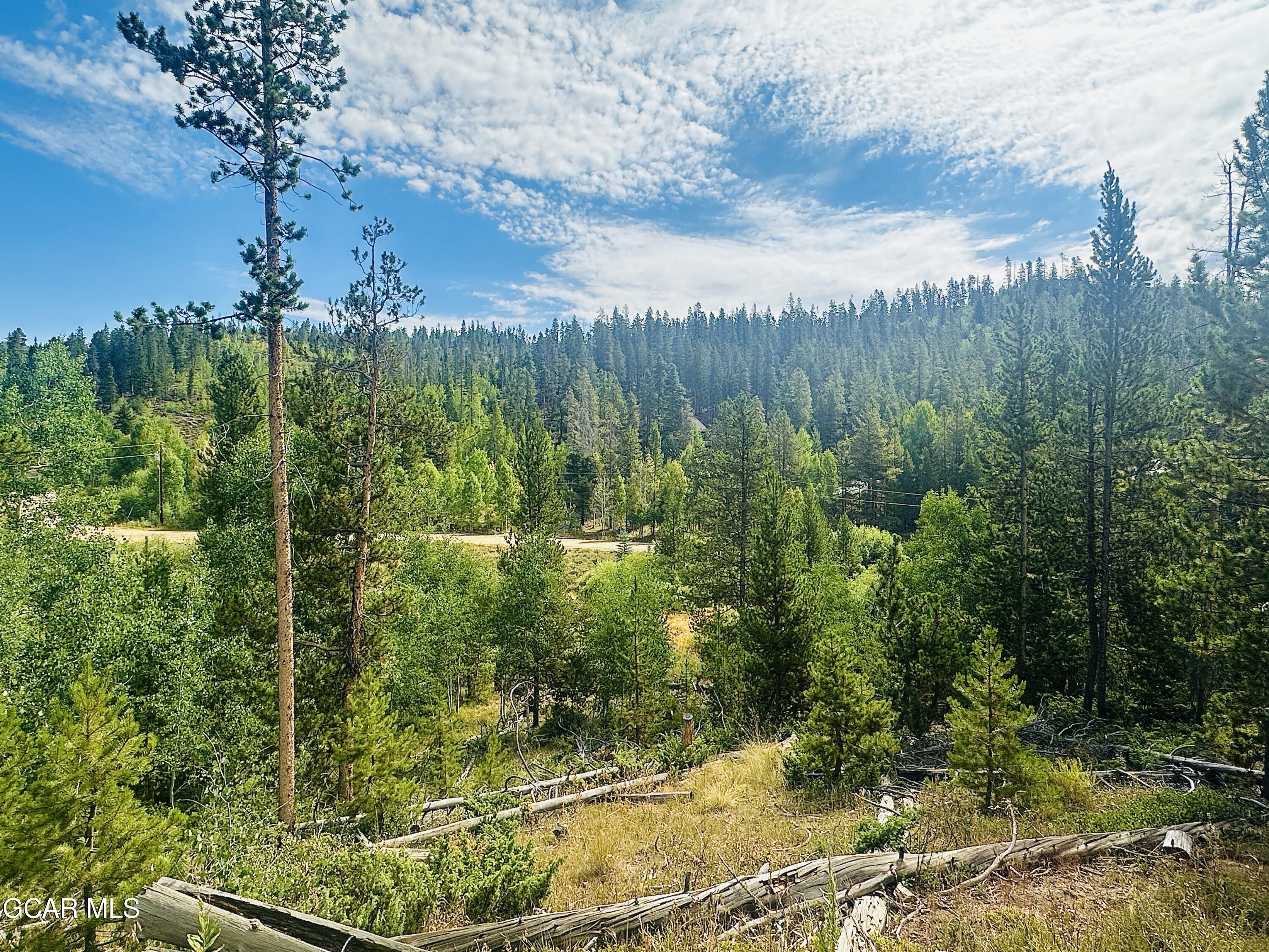 433 GCR 859 Drive Tabernash CO 80478